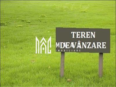 Teren de casa | 534MP | PUZ | Lot 34 | Sura Mica - 3