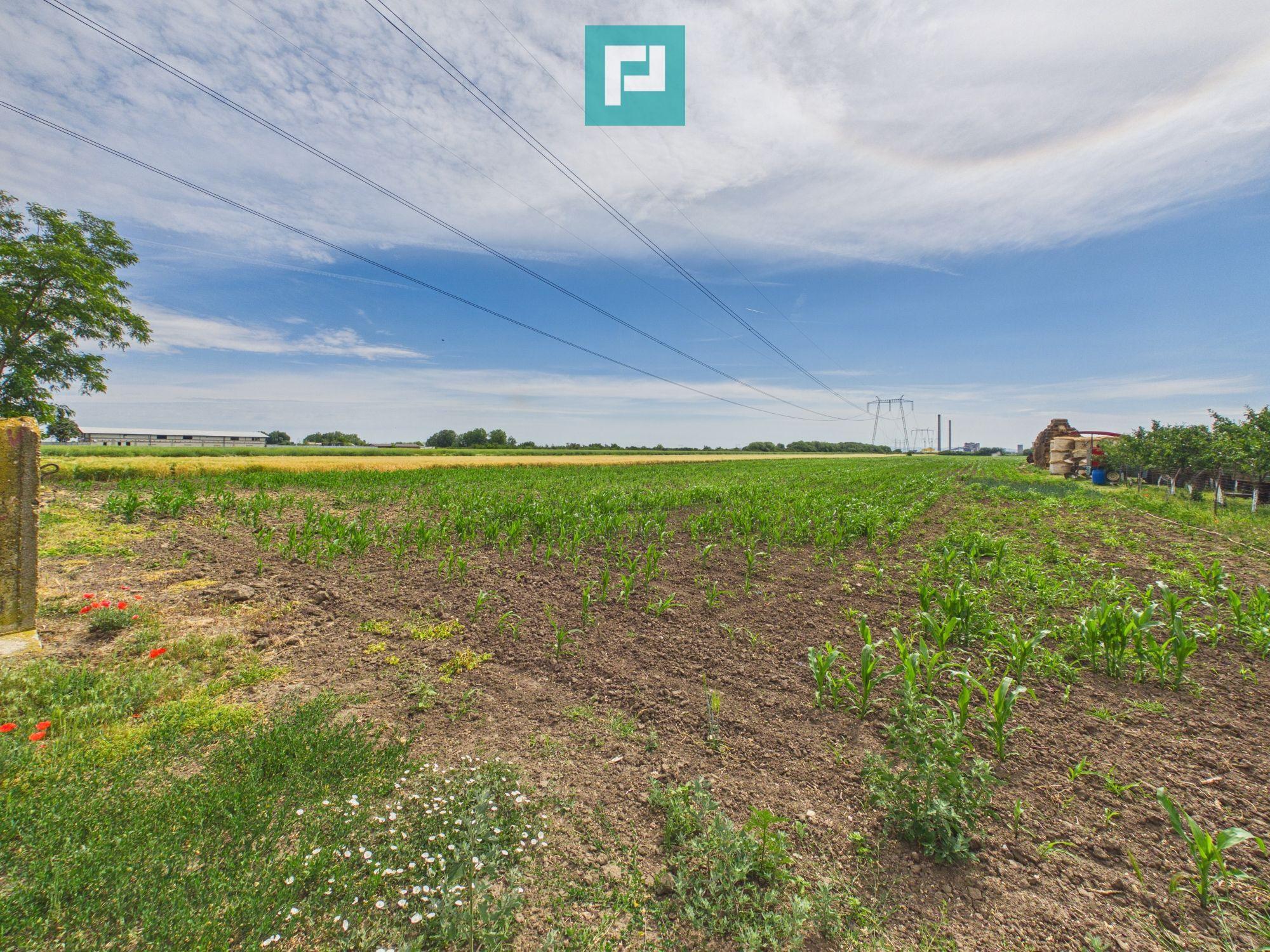 Teren extravilan 5000 mp, Arad - 9