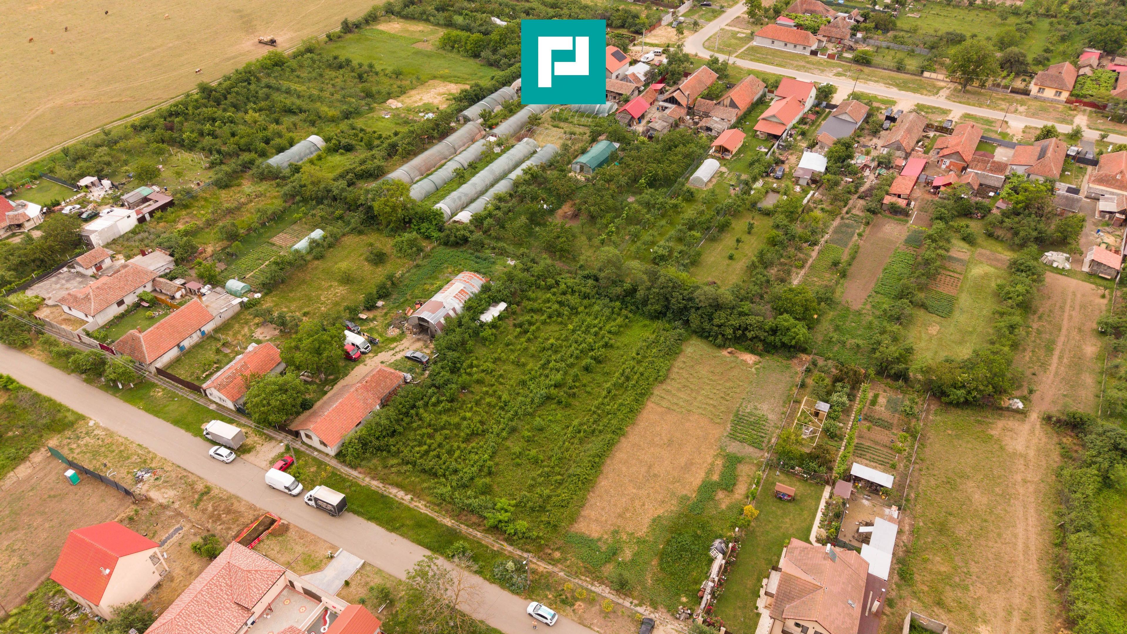 Teren 2400 mp - Tisa Noua, com. Fantanele - 3