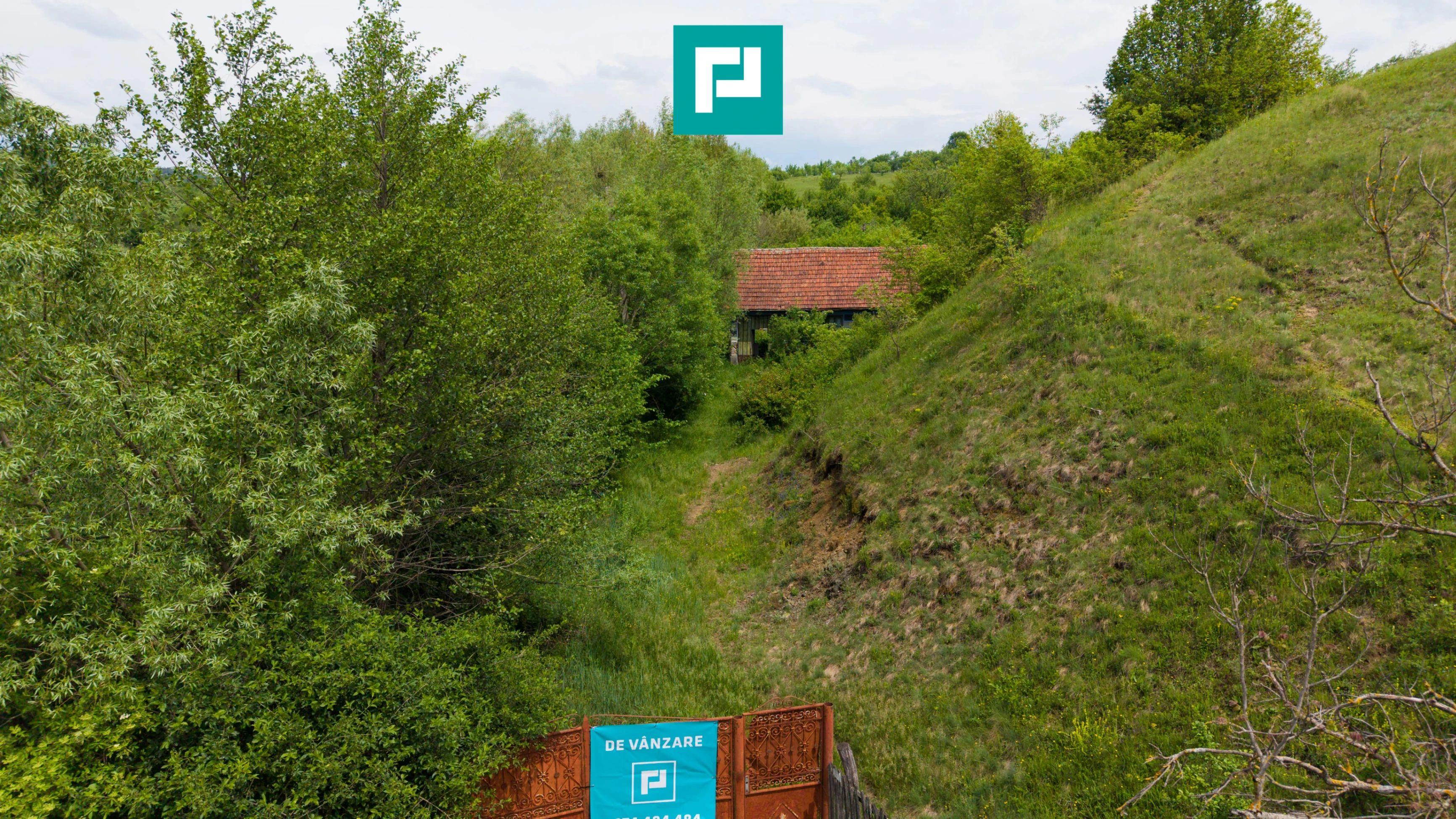 Proprietate de poveste pe Valea Mureșului, Lupești - 5