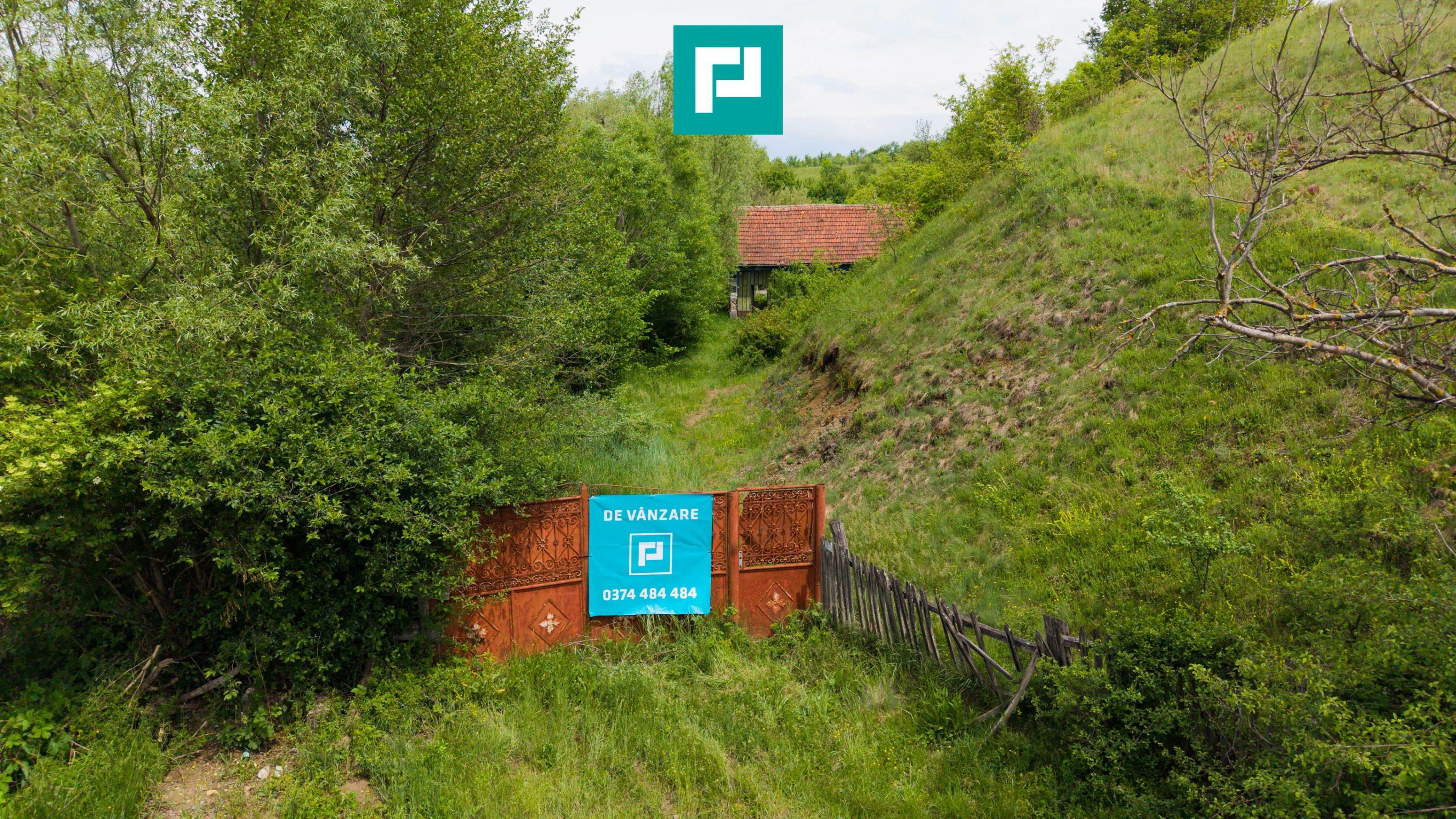 Proprietate de poveste pe Valea Mureșului, Lupești - 3