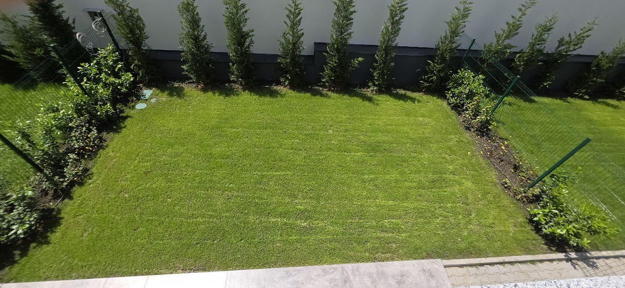 Giulesti duplex P+1 4 camere de vanzare - 13