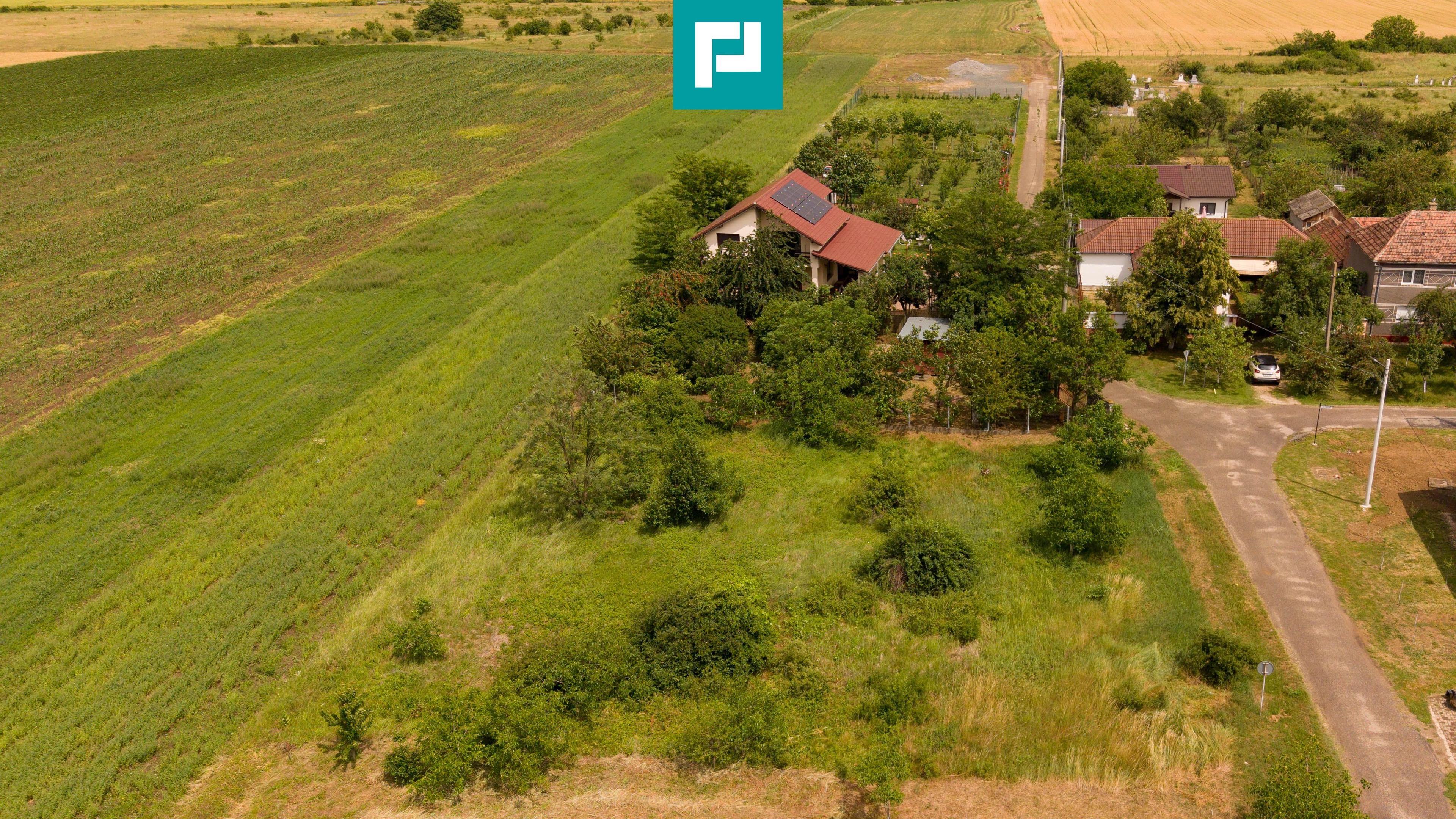 Teren intravilan de 602mp în Cicir, Vladimirescu - 2