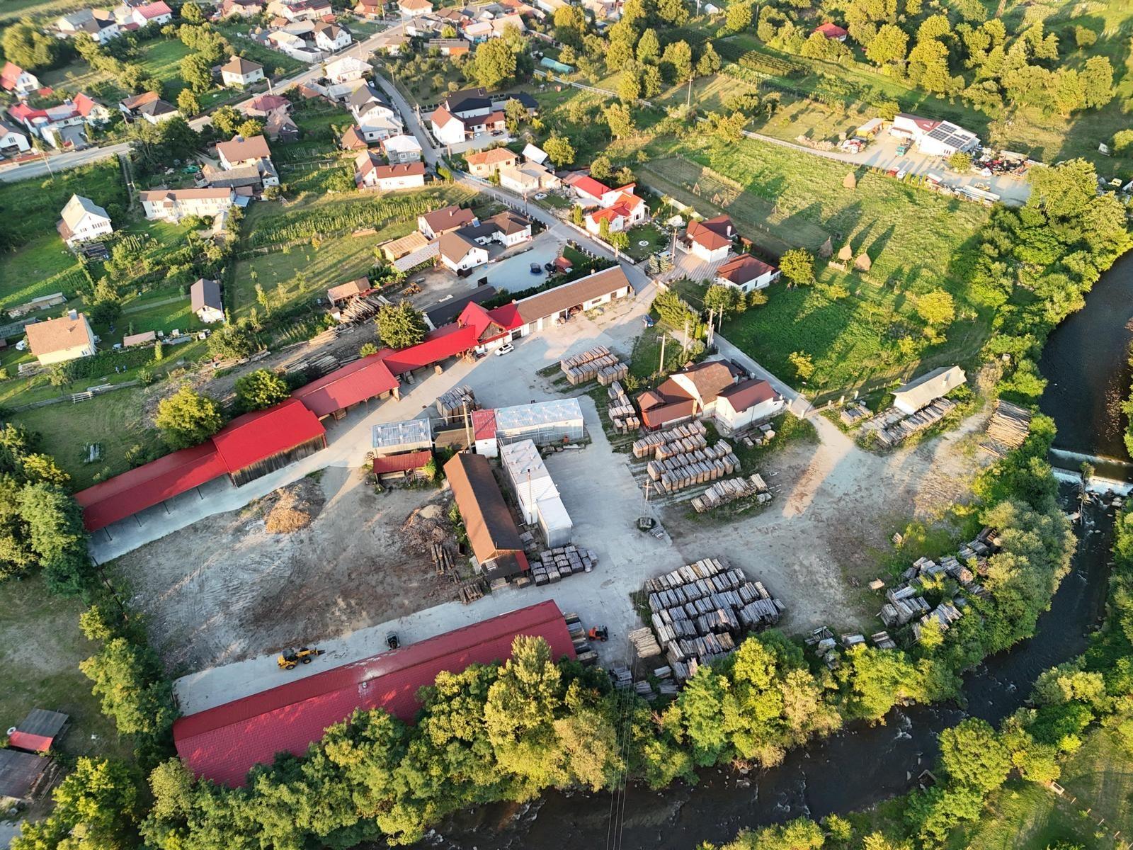 Fabrică de cherestea complet utilată & centru logistic - 1