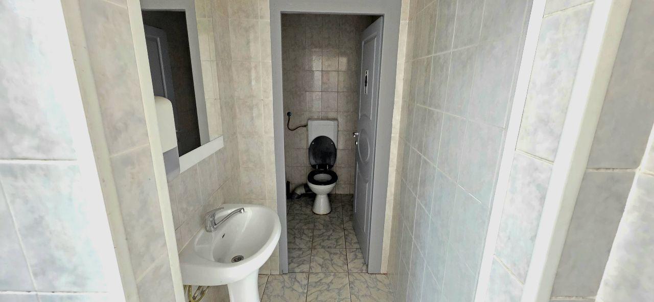 Theodor Pallady hala depozitare /productie 550 mp de inchiriat - 20