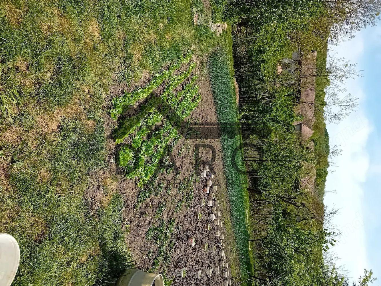 Casa de vinzare - 5