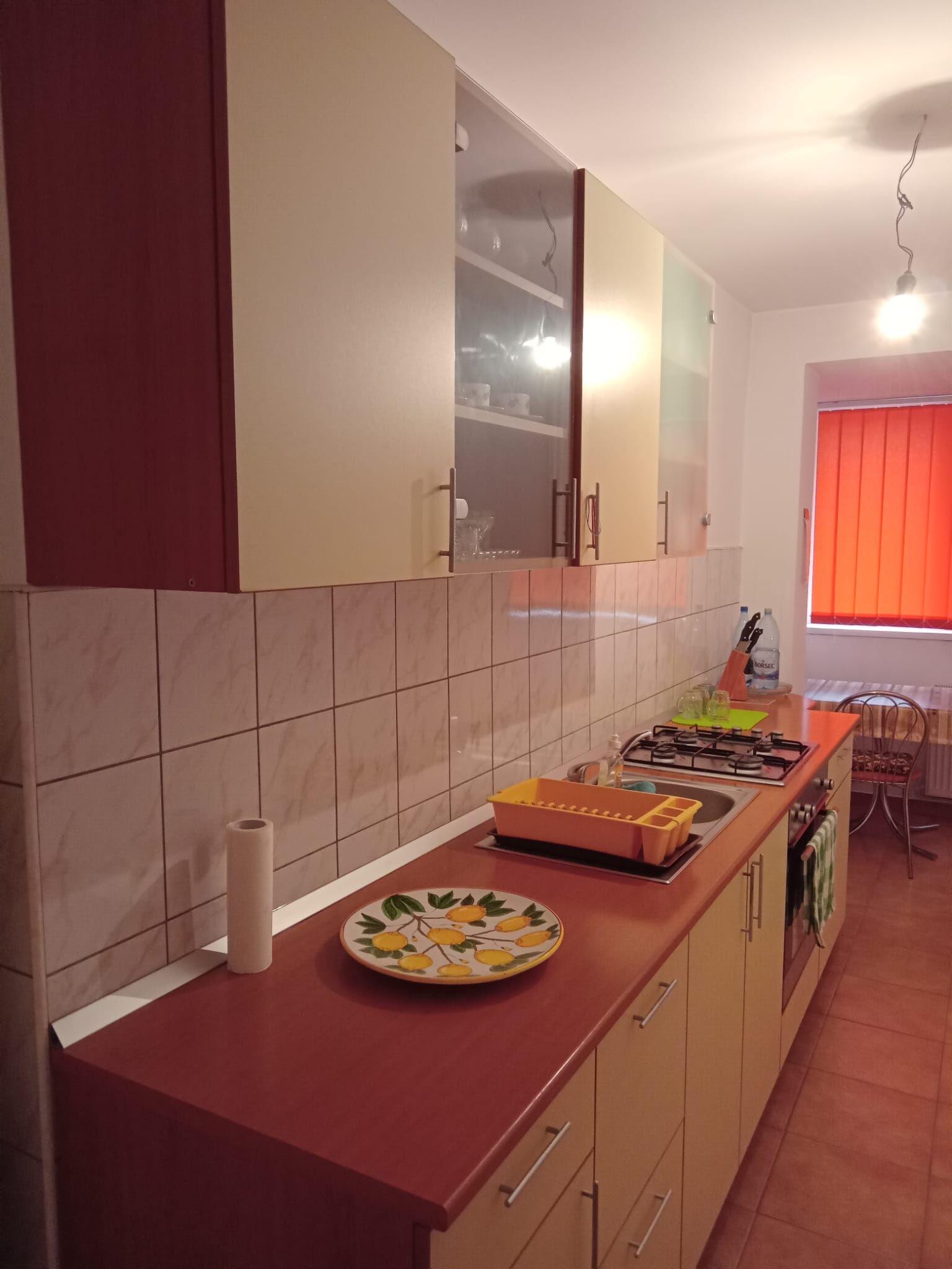 Apartament de Vanzare - Zona Brancoveanu - 55 mp - 10