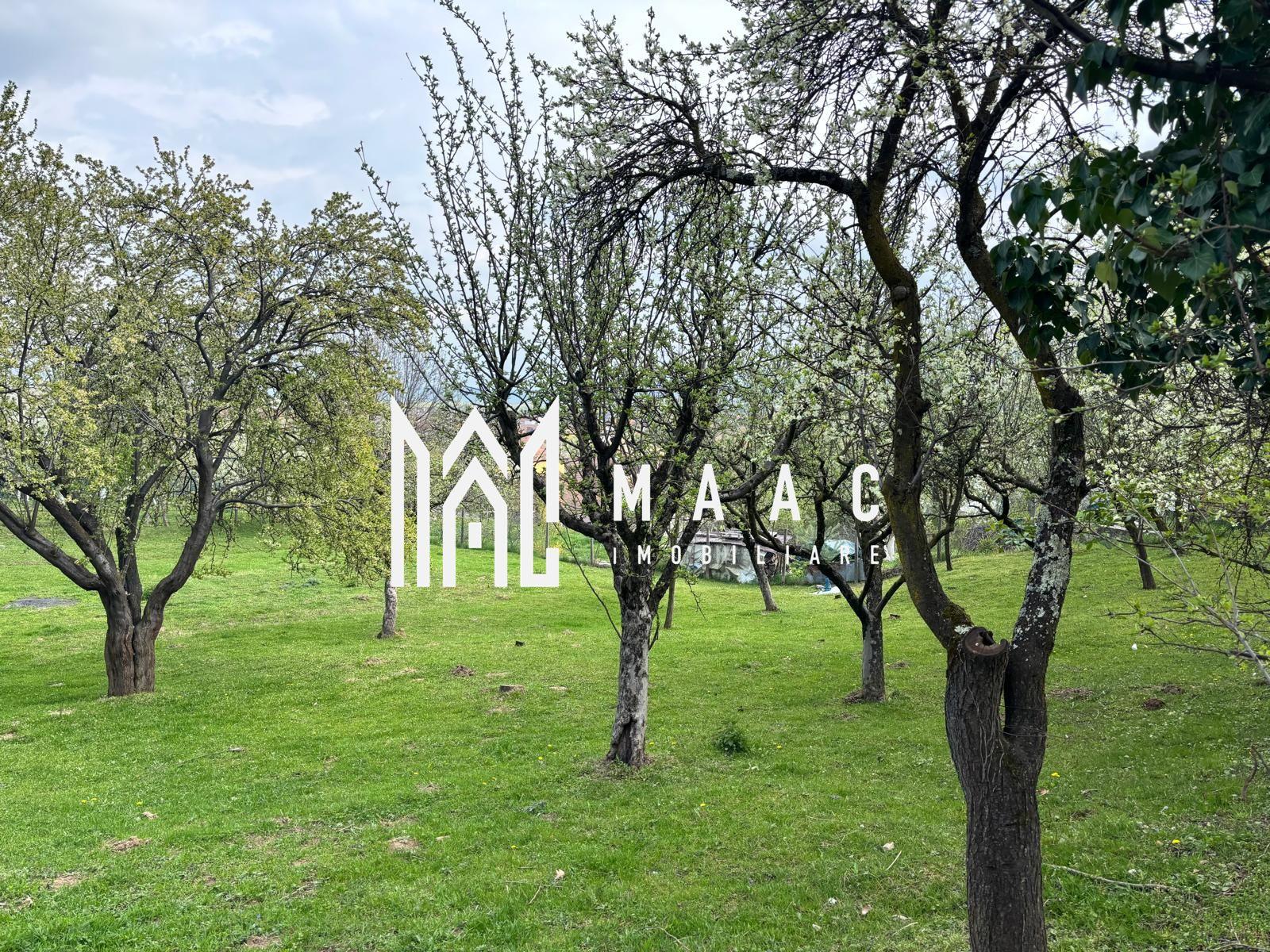 Teren Intravilan | 855 MP | Săliște - 2
