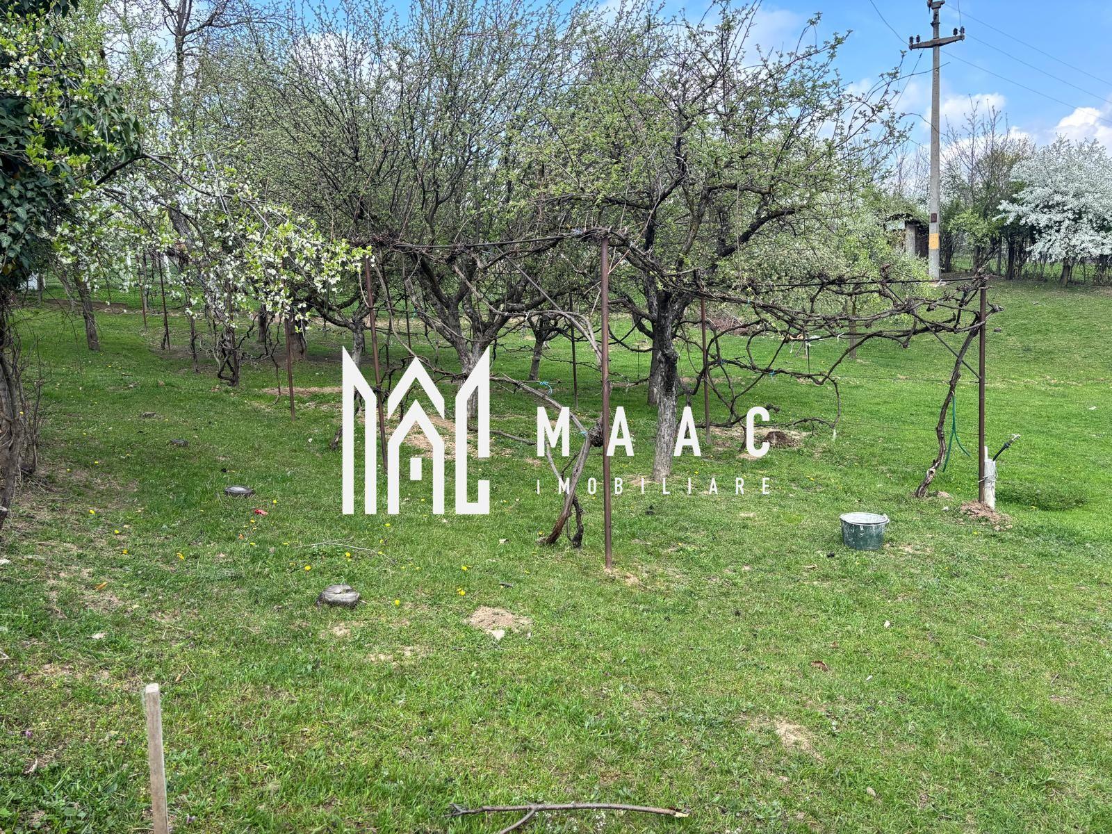 Teren Intravilan | 855 MP | Săliște - 8