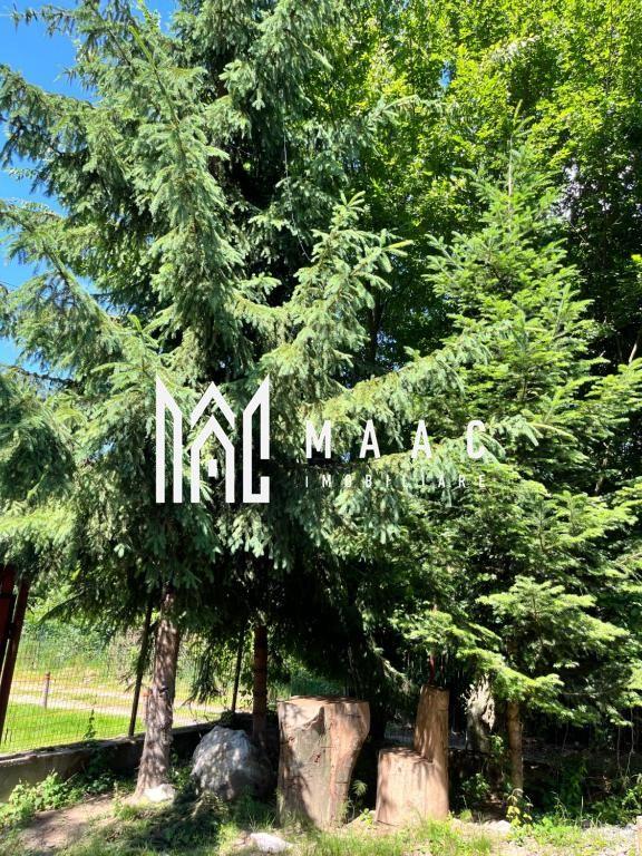 Pensiune Turistică | 360MPU | Curte | Oportunitate Investiție | Porumbacu de Sus - 21