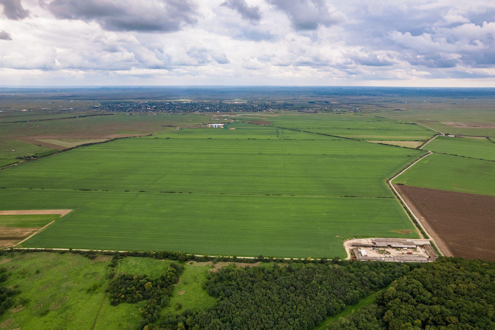 Teren arabil de 1080 hectare în Tulcea - 3