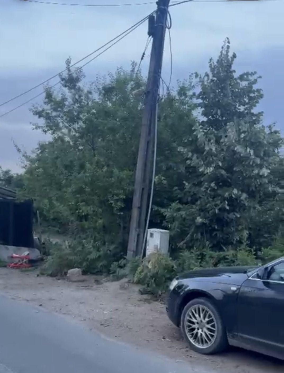Ciolpani teren intravila 2500 mp de vanzare - 5