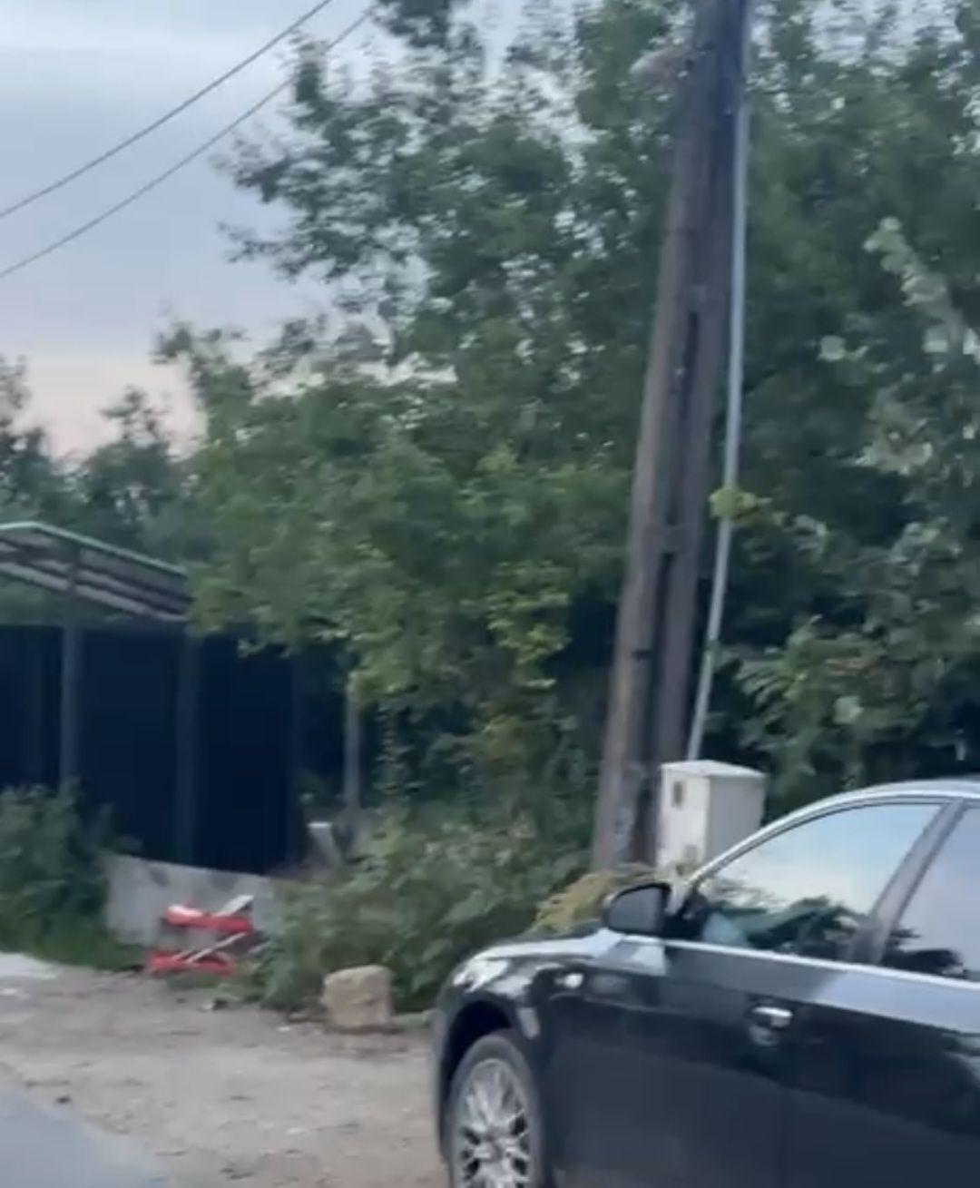 Ciolpani teren intravila 2500 mp de vanzare - 3
