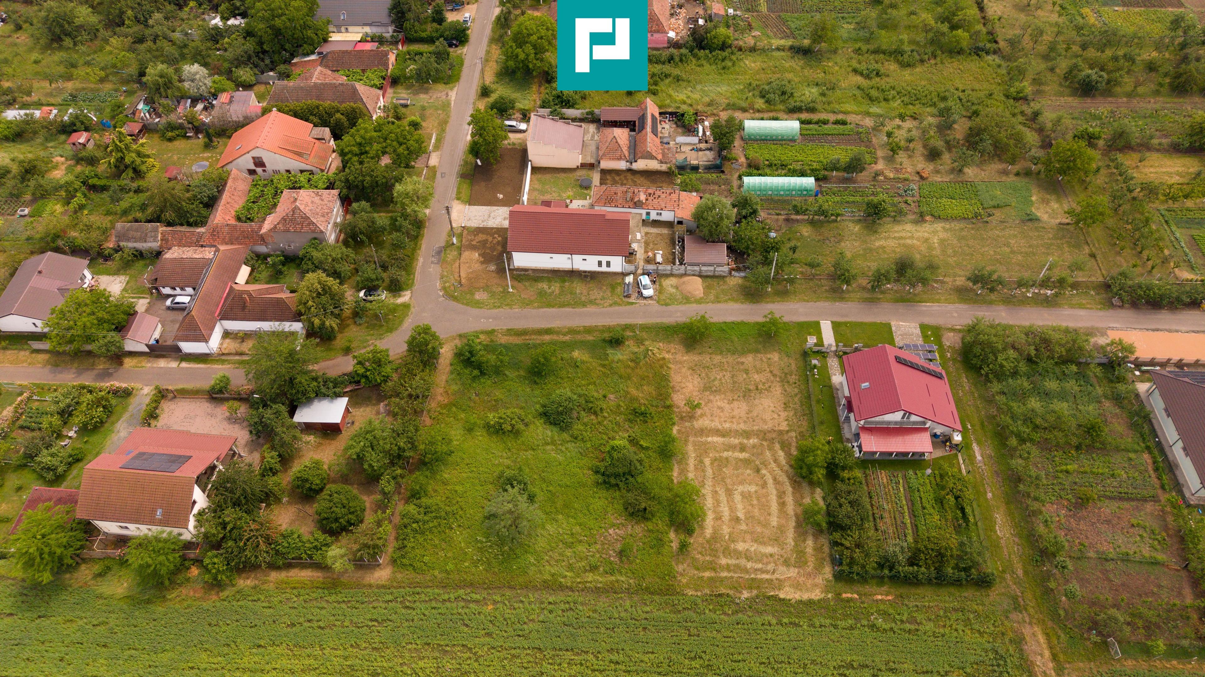 Teren intravilan de 596mp în Cicir, Vladimirescu - 18