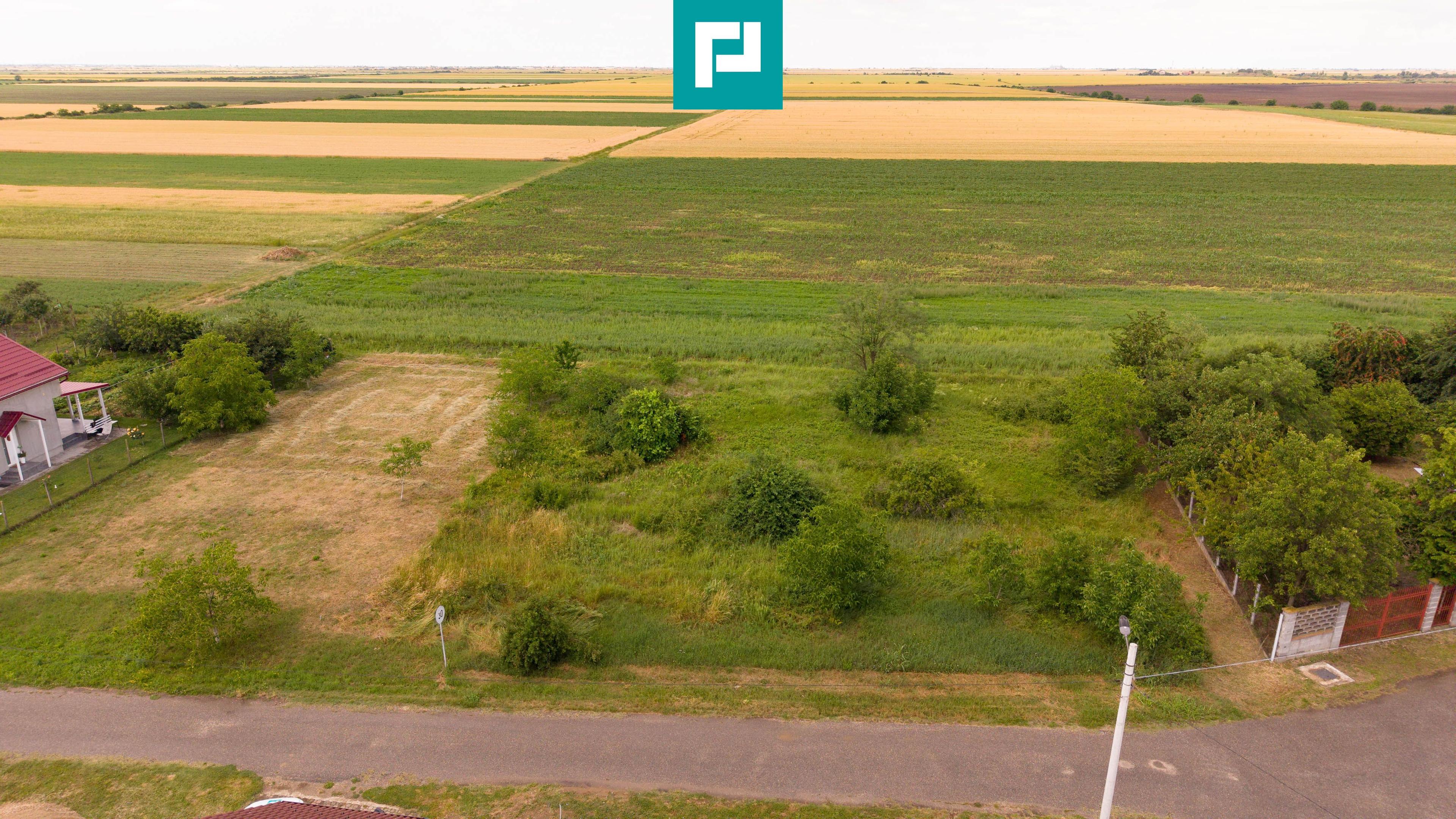 Teren intravilan de 596mp în Cicir, Vladimirescu - 3