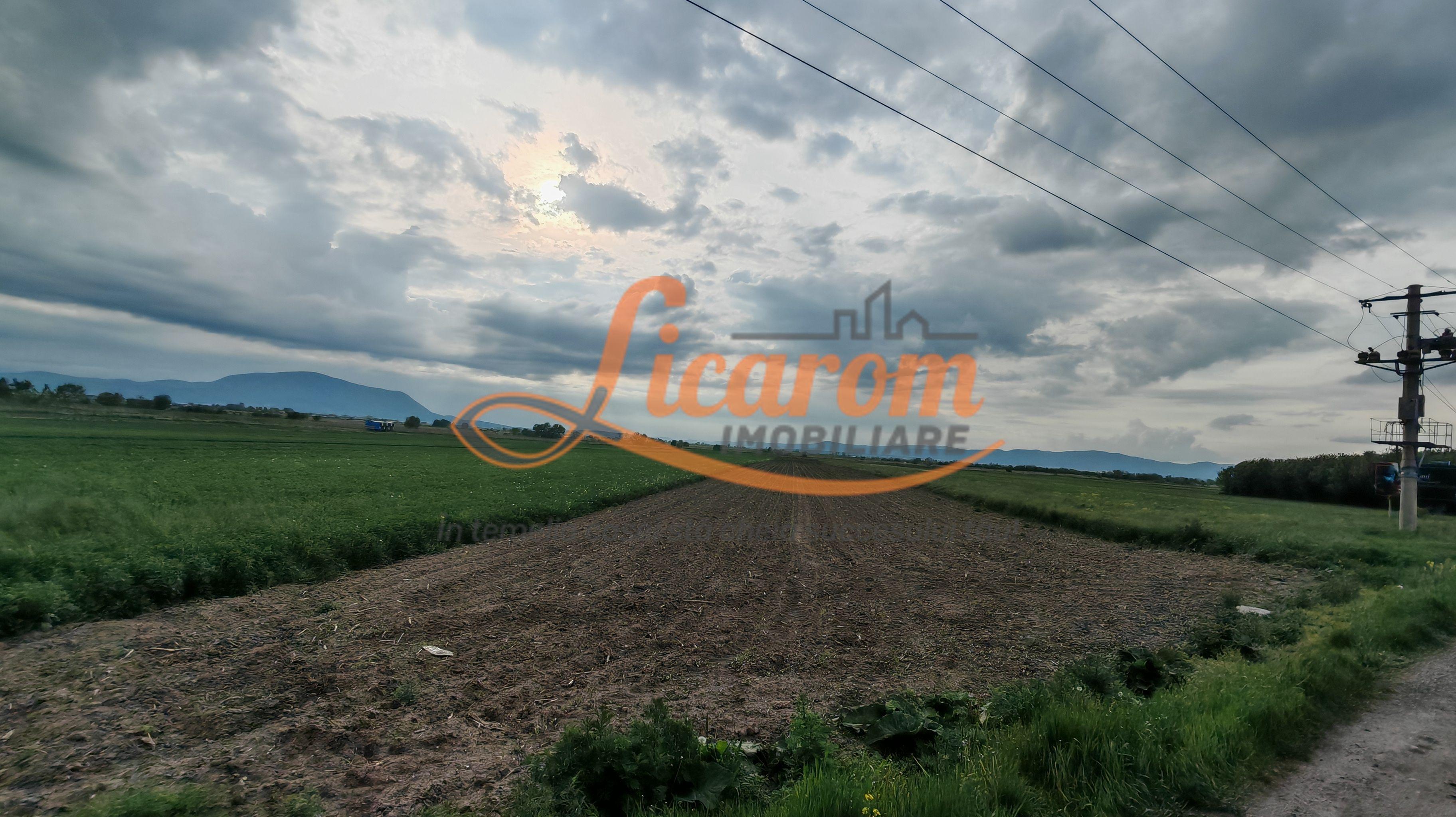 Teren Stupini Calea Feldioarei 4600 mp,front asfalt-DN13 - 6
