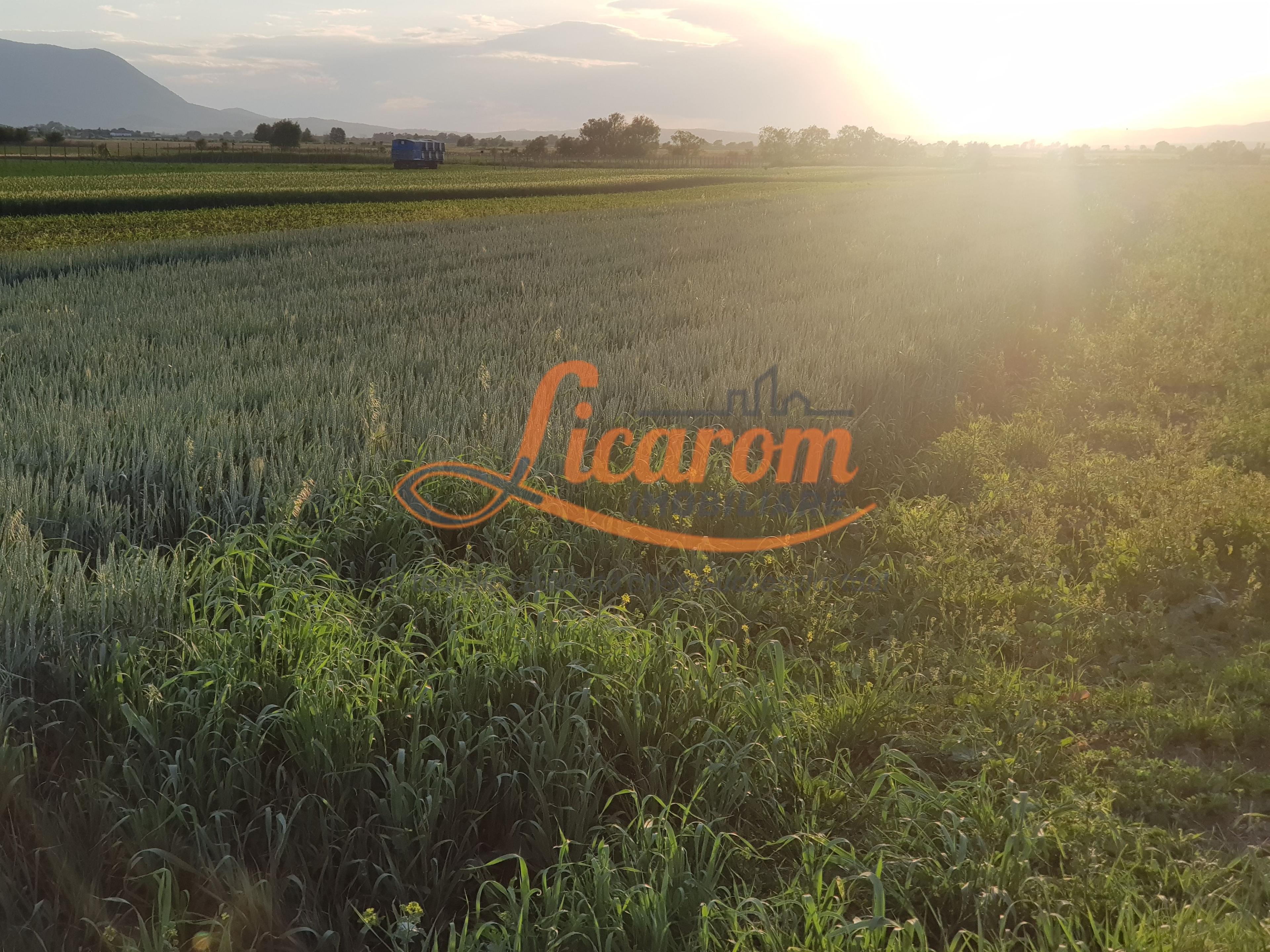 Teren Stupini Calea Feldioarei 4600 mp,front asfalt-DN13 - 2