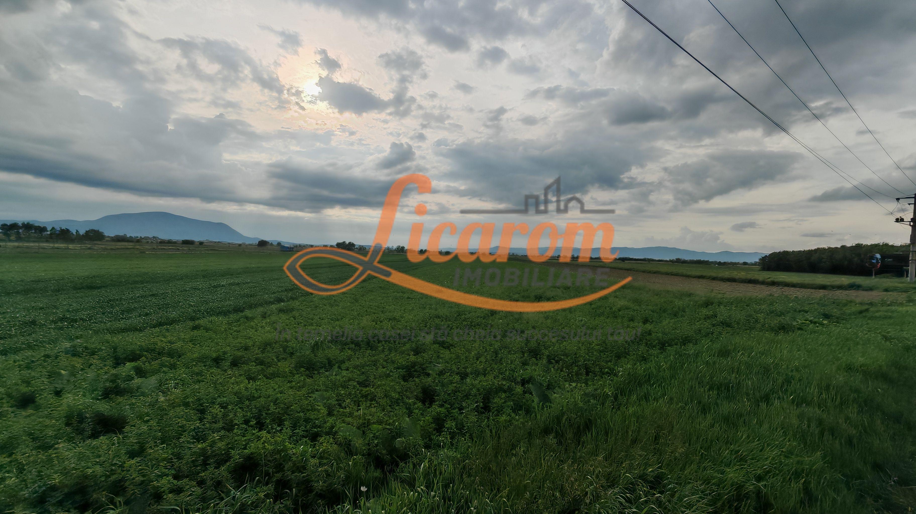 Teren Stupini Calea Feldioarei 4600 mp,front asfalt-DN13 - 3