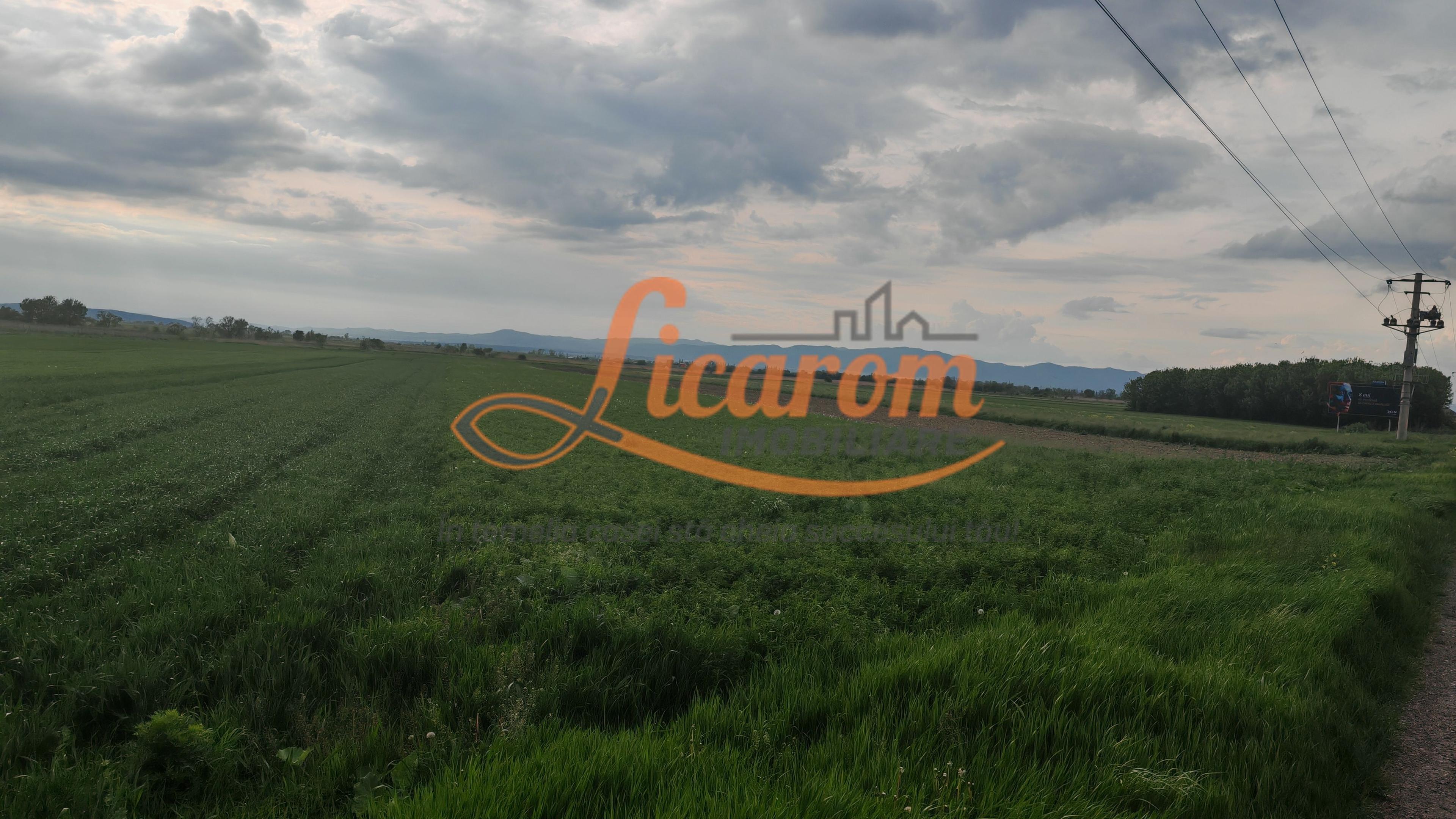 Teren Stupini Calea Feldioarei 4600 mp,front asfalt-DN13 - 8