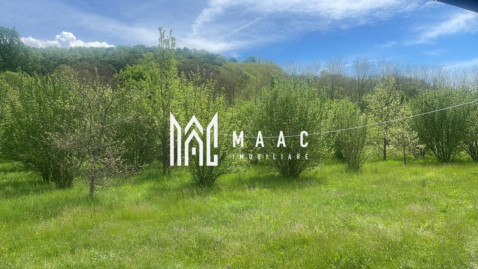 Teren extravilan 61.000 mp | Veseud, Sibiu | plantație aluni, trufe - 1