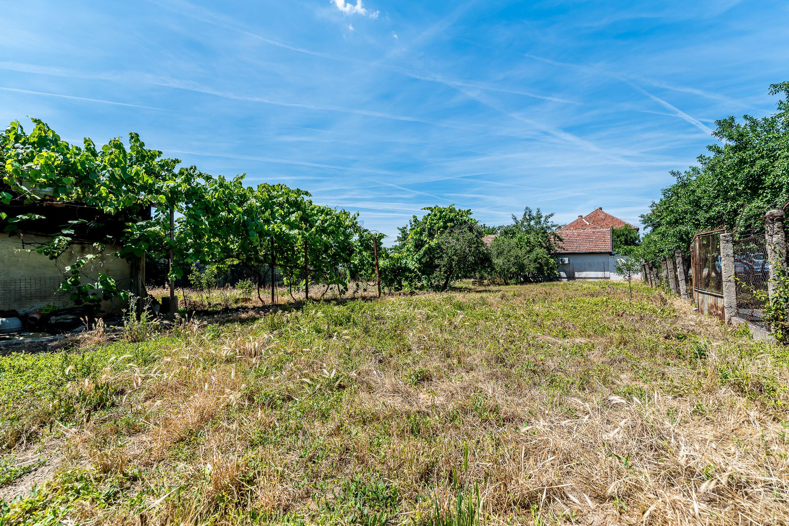 Casă cu teren 1018 mp și 2 fronturi stradale- Bujac - 4