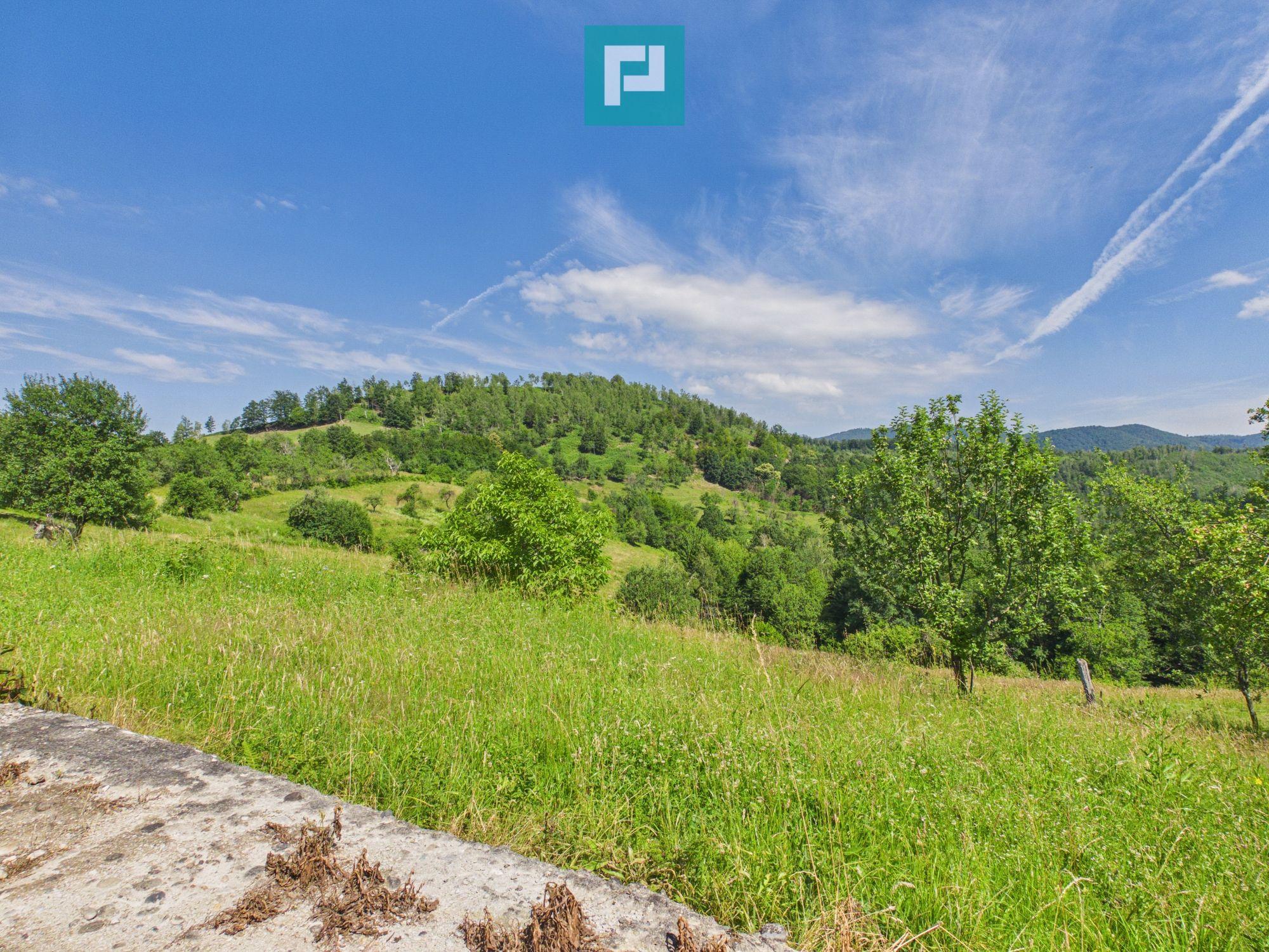 Casă de vacanță cu 2 corpuri si view în Dulcele - 20
