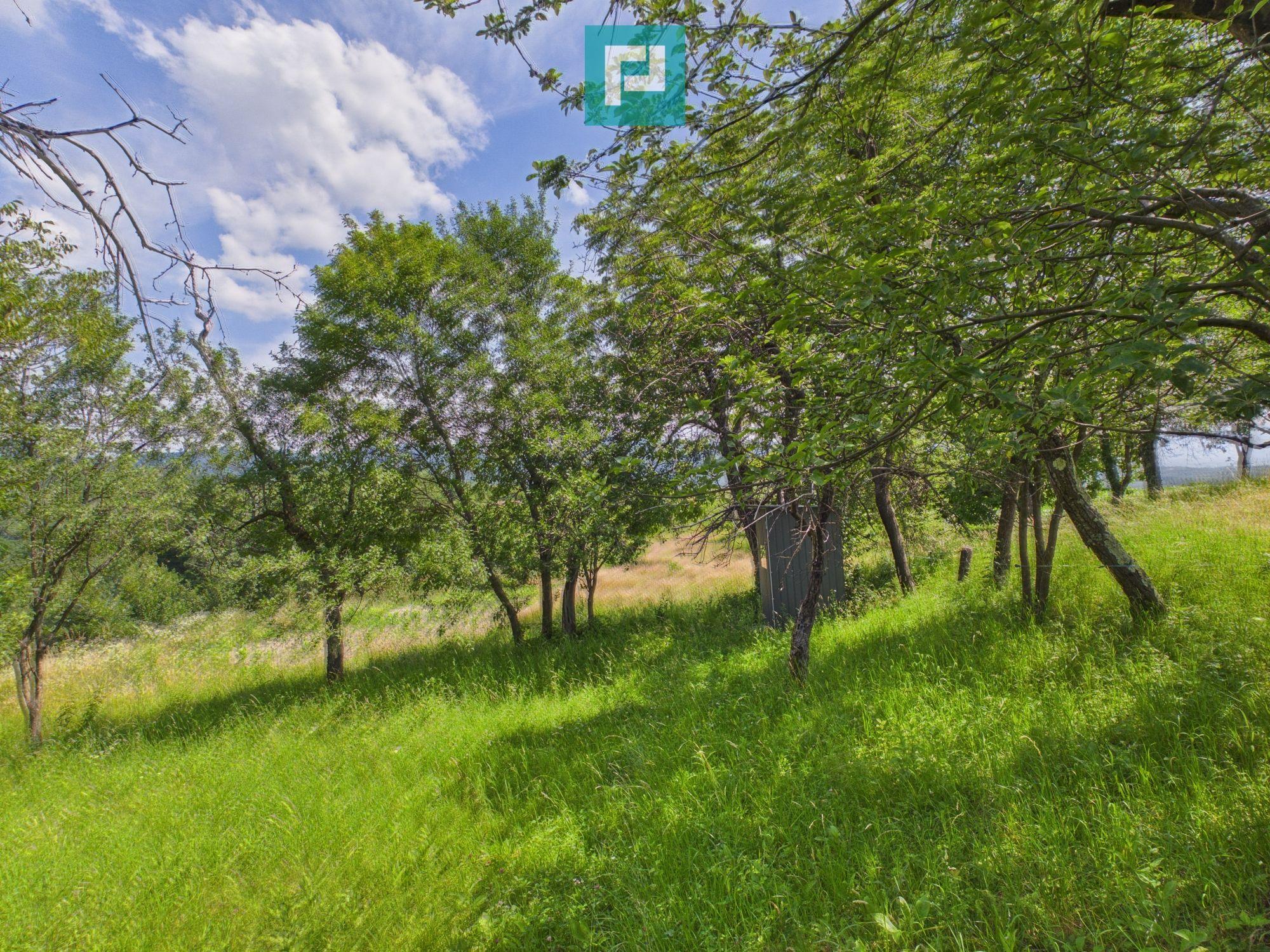 Casă de vacanță cu 2 corpuri si view în Dulcele - 22