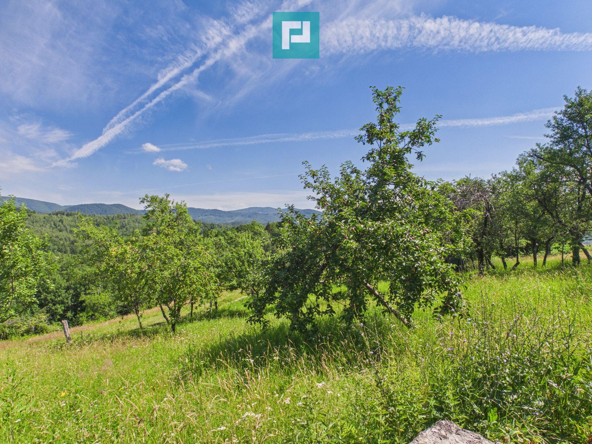 Casă de vacanță cu 2 corpuri si view în Dulcele - 26