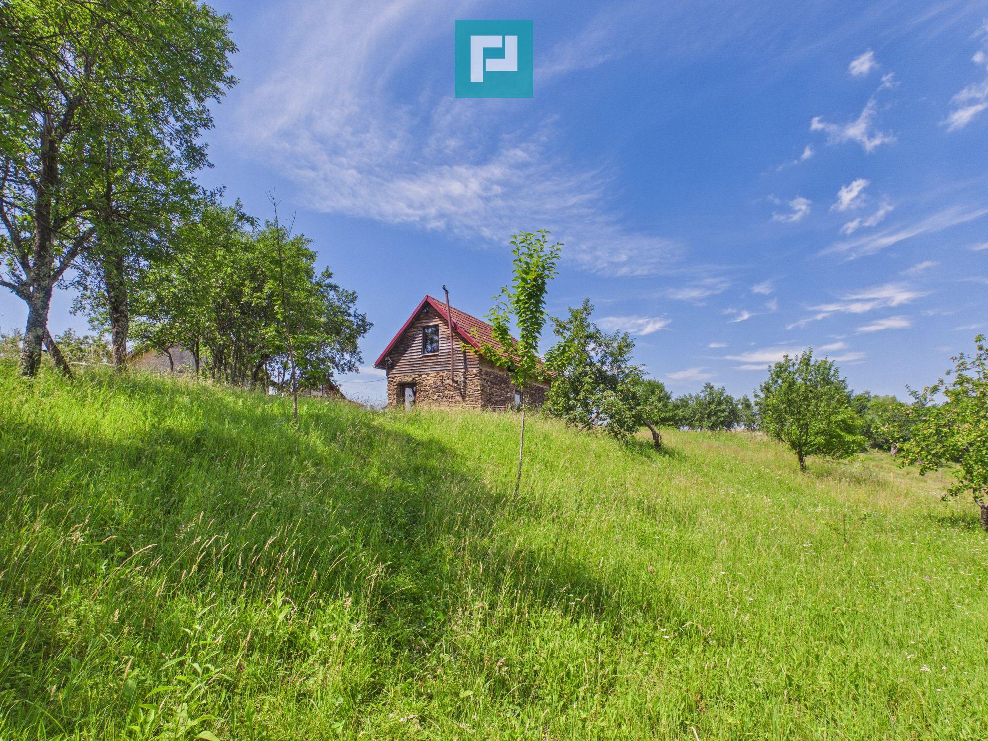 Casă de vacanță cu 2 corpuri si view în Dulcele - 24