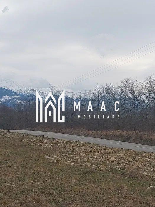 Teren intravilan I Valea Avrigului I 5000 mp - 1