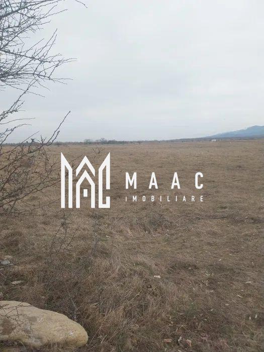 Teren intravilan I Valea Avrigului I 5000 mp - 4