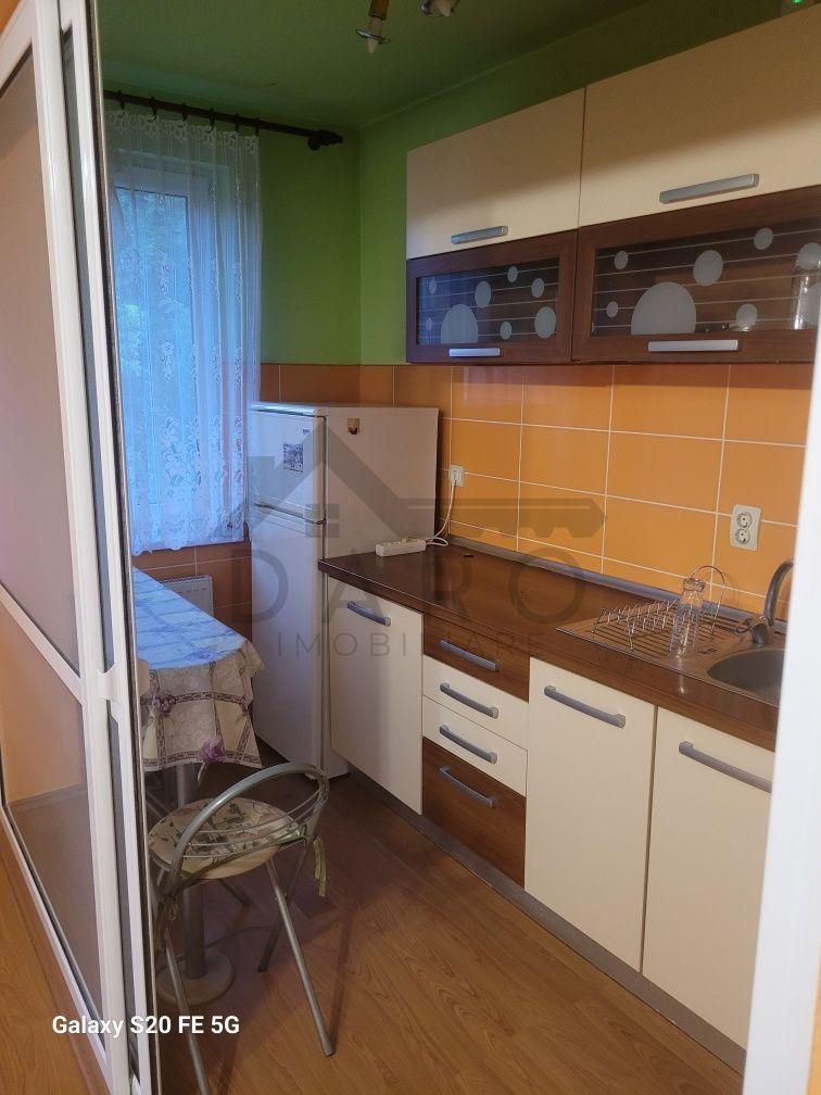 Apartament de inchiriat cu o cameră etaj 1 pe strada munteniei - 3