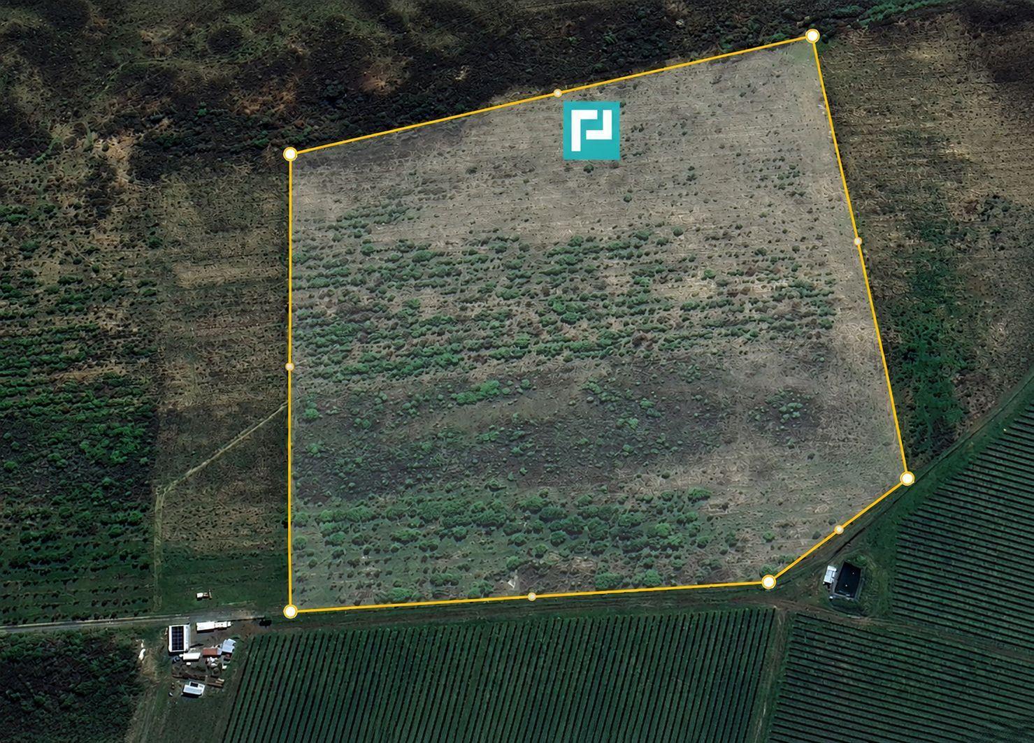 Teren Extravilan 4,5 hectare in Lipova - 2