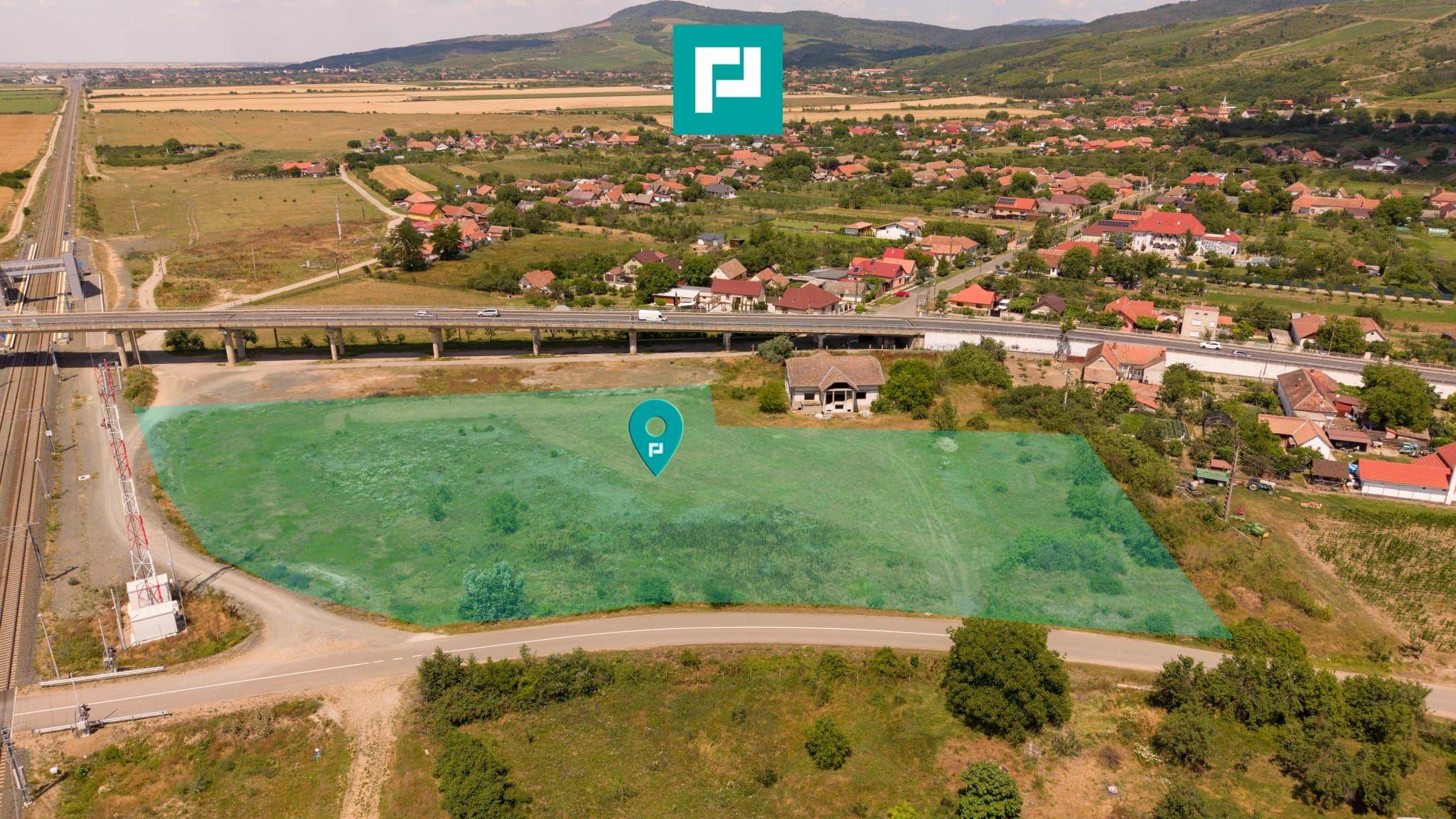 Teren intravilan 10.000 mp. în Pauliș - 3