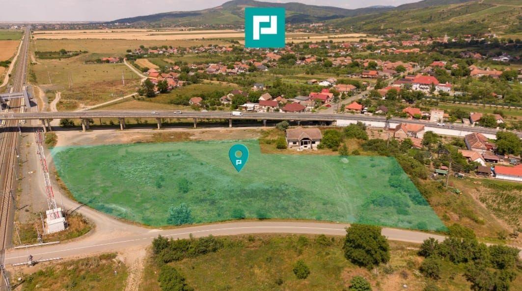 Teren intravilan 10.000 mp. în Pauliș - 1