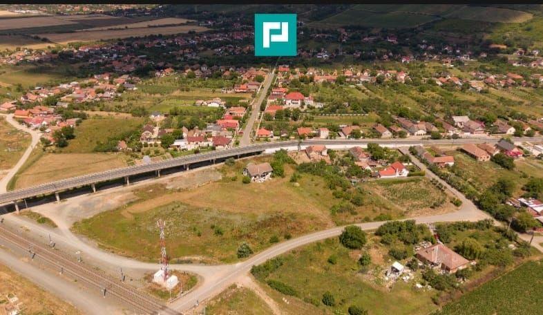 Teren intravilan 10.000 mp. în Pauliș - 7