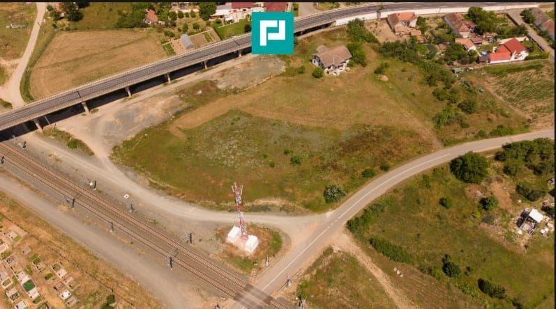 Teren intravilan 10.000 mp. în Pauliș - 6