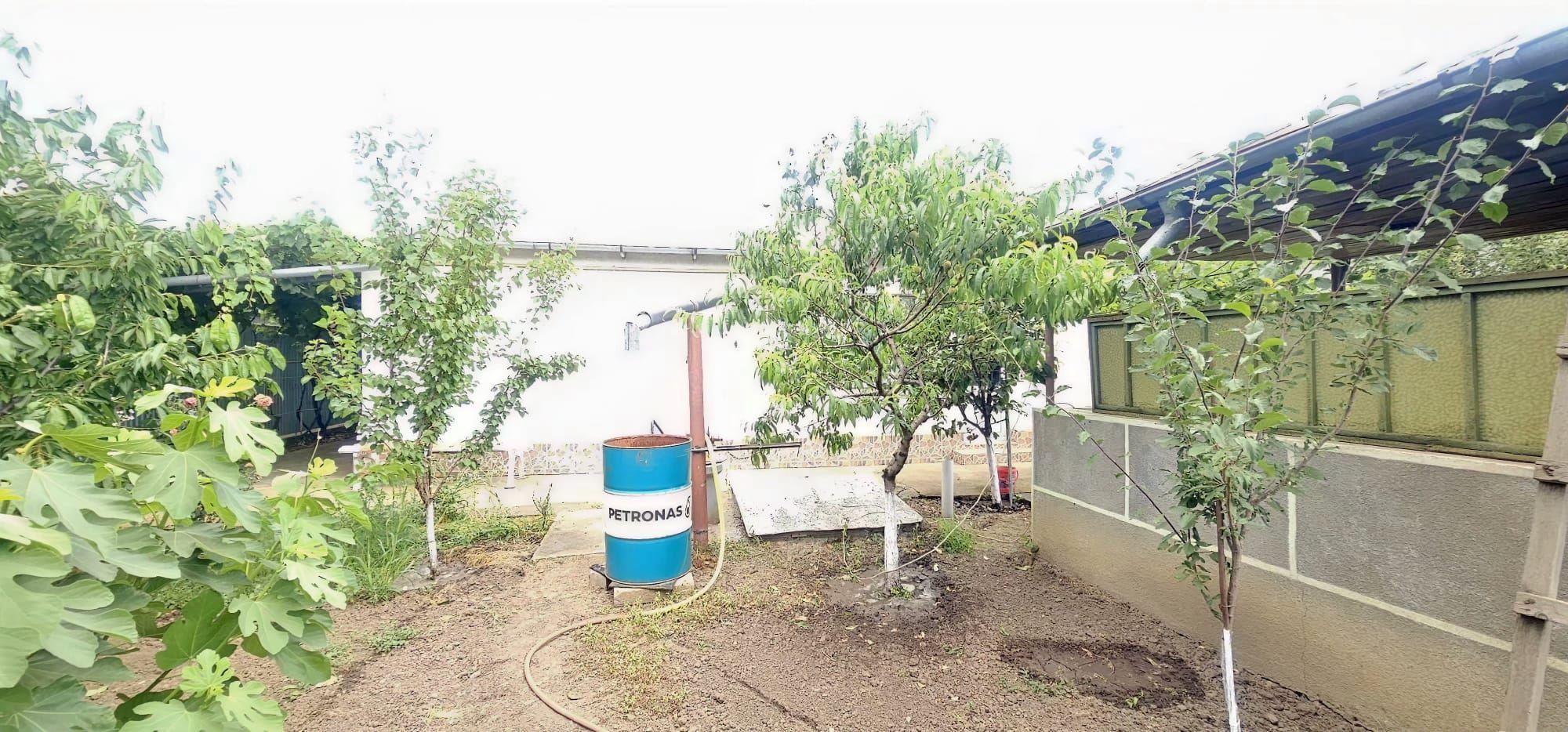 Casa la sol cu teren 1055 mp si livada - Vanatori, Galati - 17