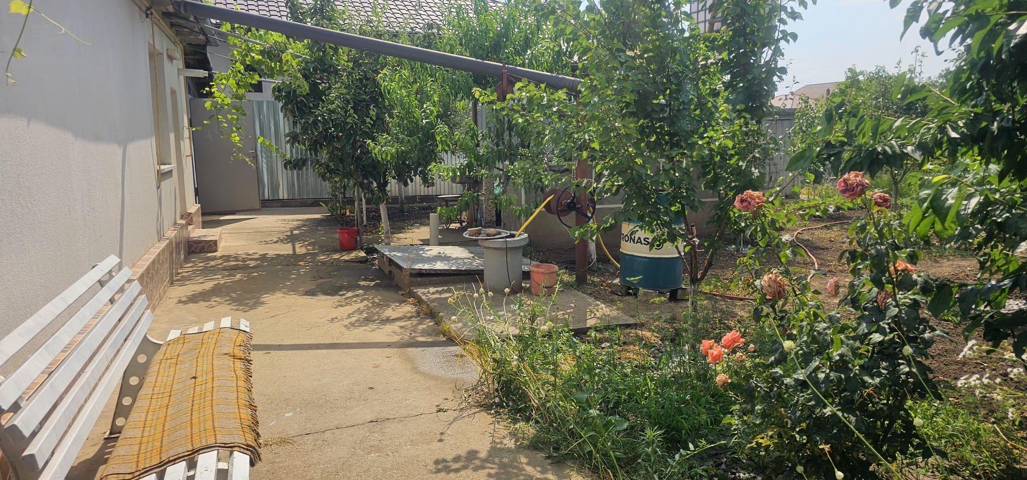 Casa la sol cu teren 1055 mp si livada - Vanatori, Galati - 6