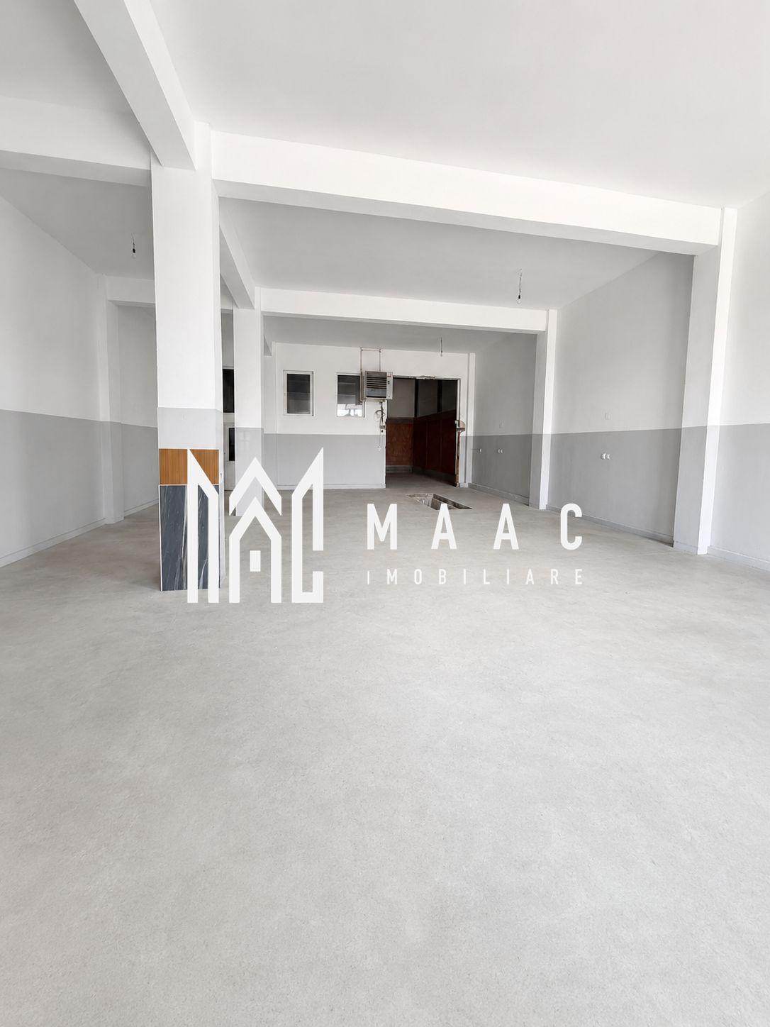 Hală industrială | 500 mp | Curte 600 mp | Zona Terezian - 2