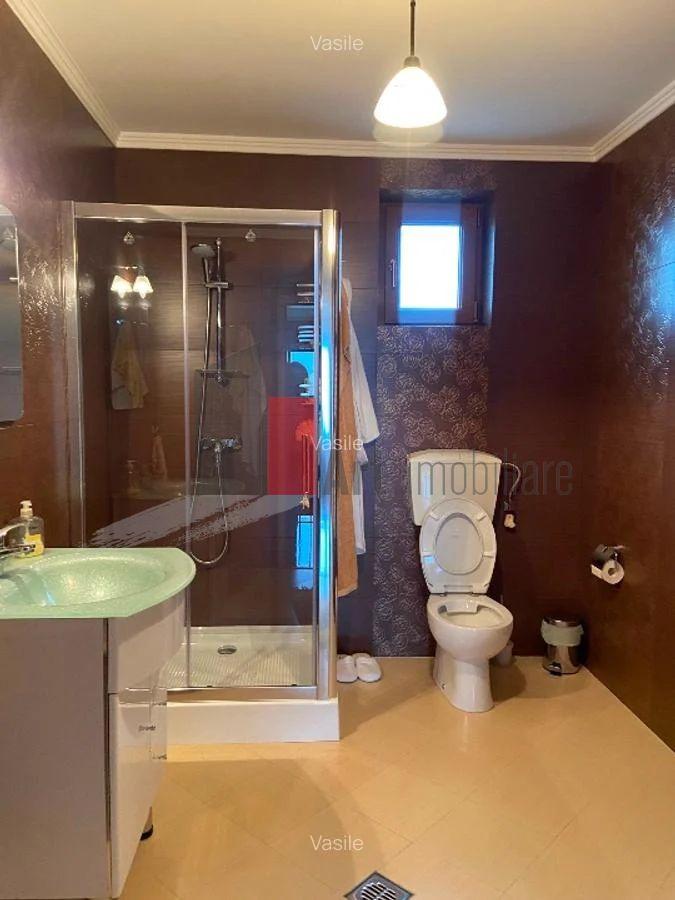 Vila Pantelimon - Padure - 12