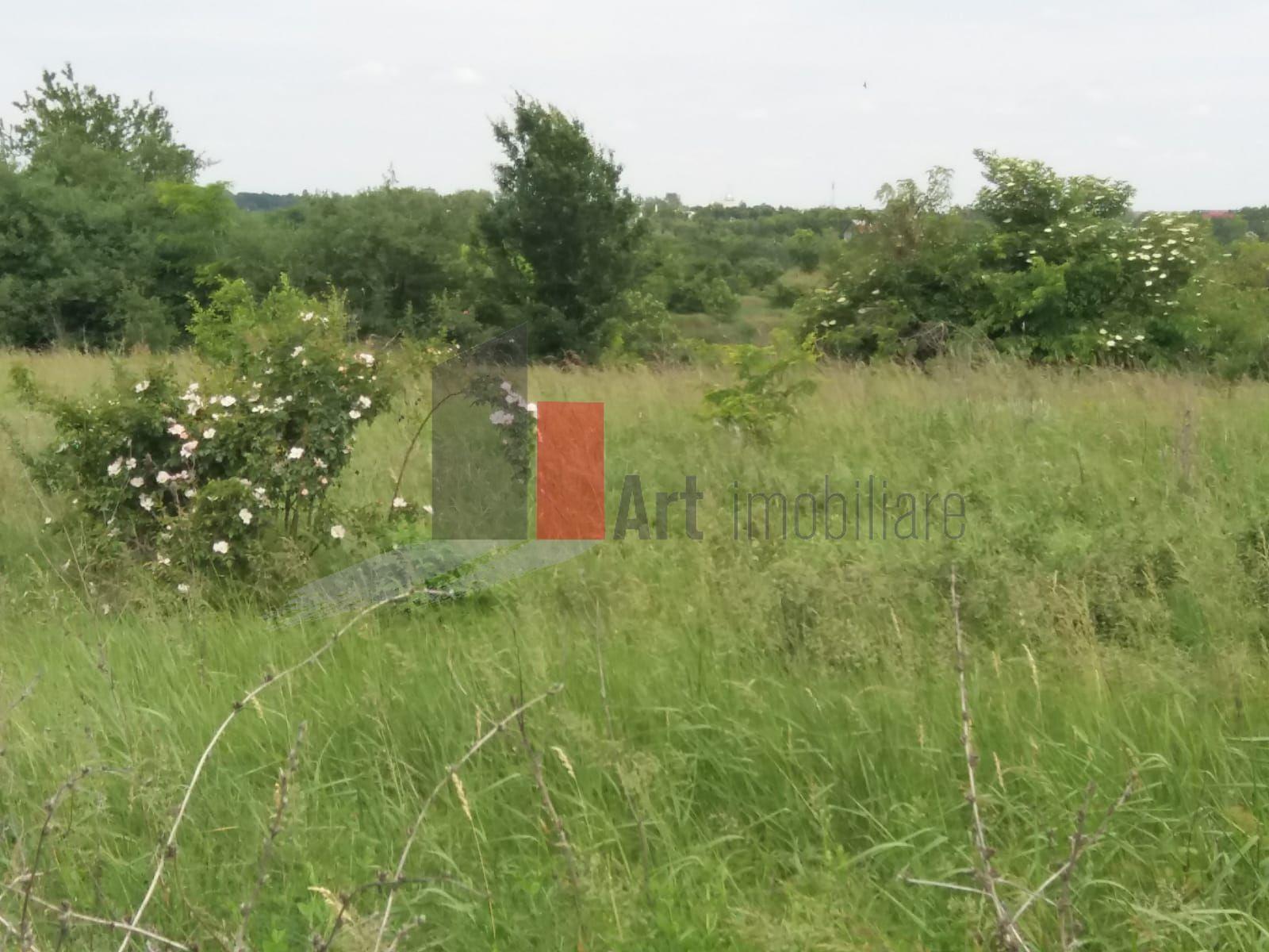 Teren Buftea cu iesire la lac - 22