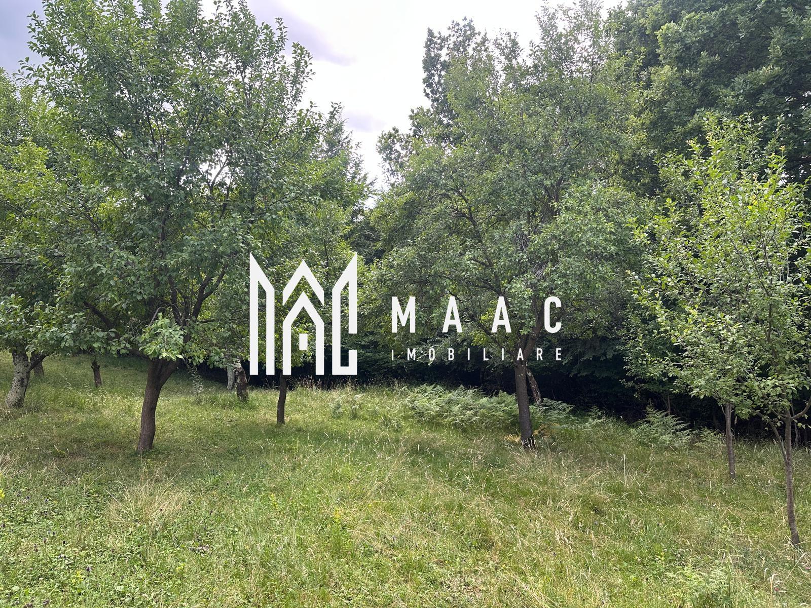 Teren extravilan 2000 mp | Rășinari | livadă, lângă Cisnădioara - 3