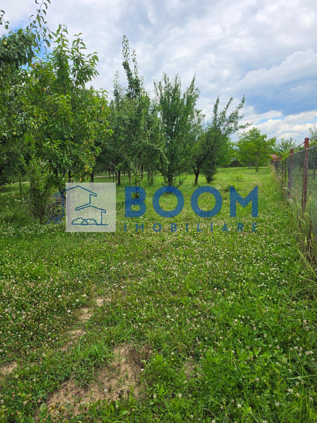 Casa Calimanesti | Teren 1700 mp | Centrala proprie - 8