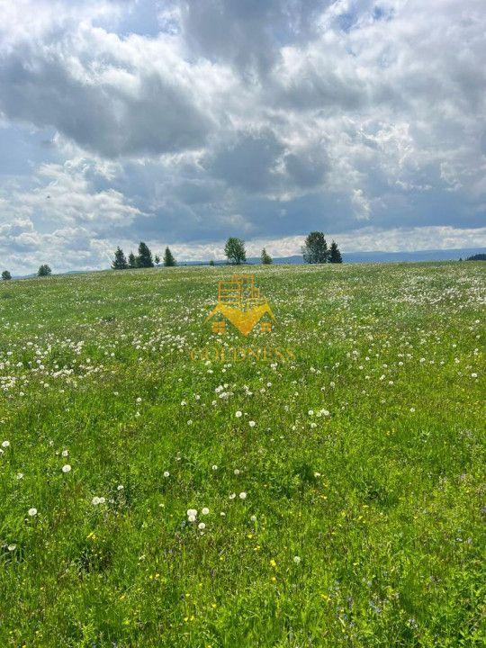 Teren intravilan de vanzare Marisel zona partia de schi - 4