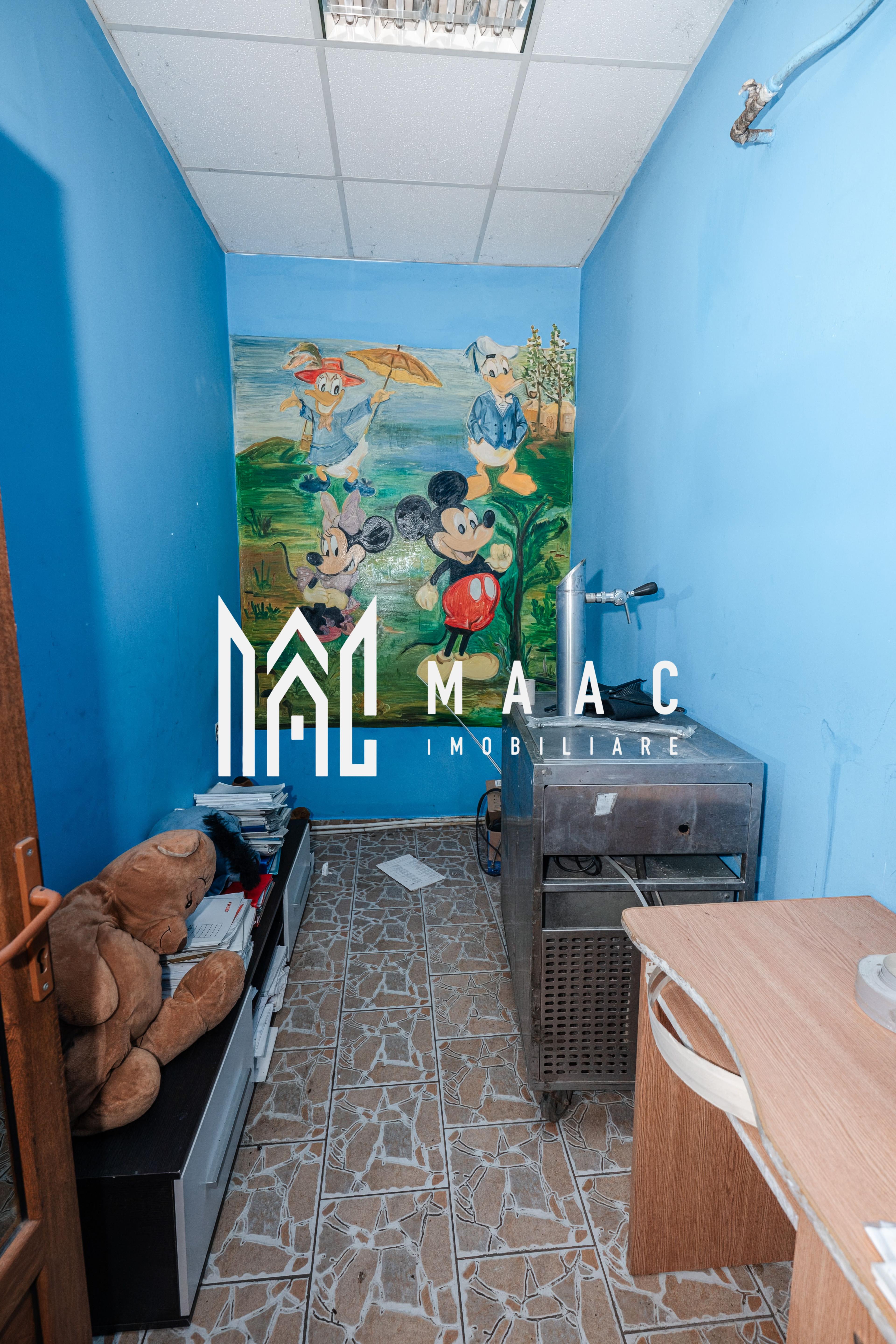 Spatiu comercial 100MP | Dragasani - 12