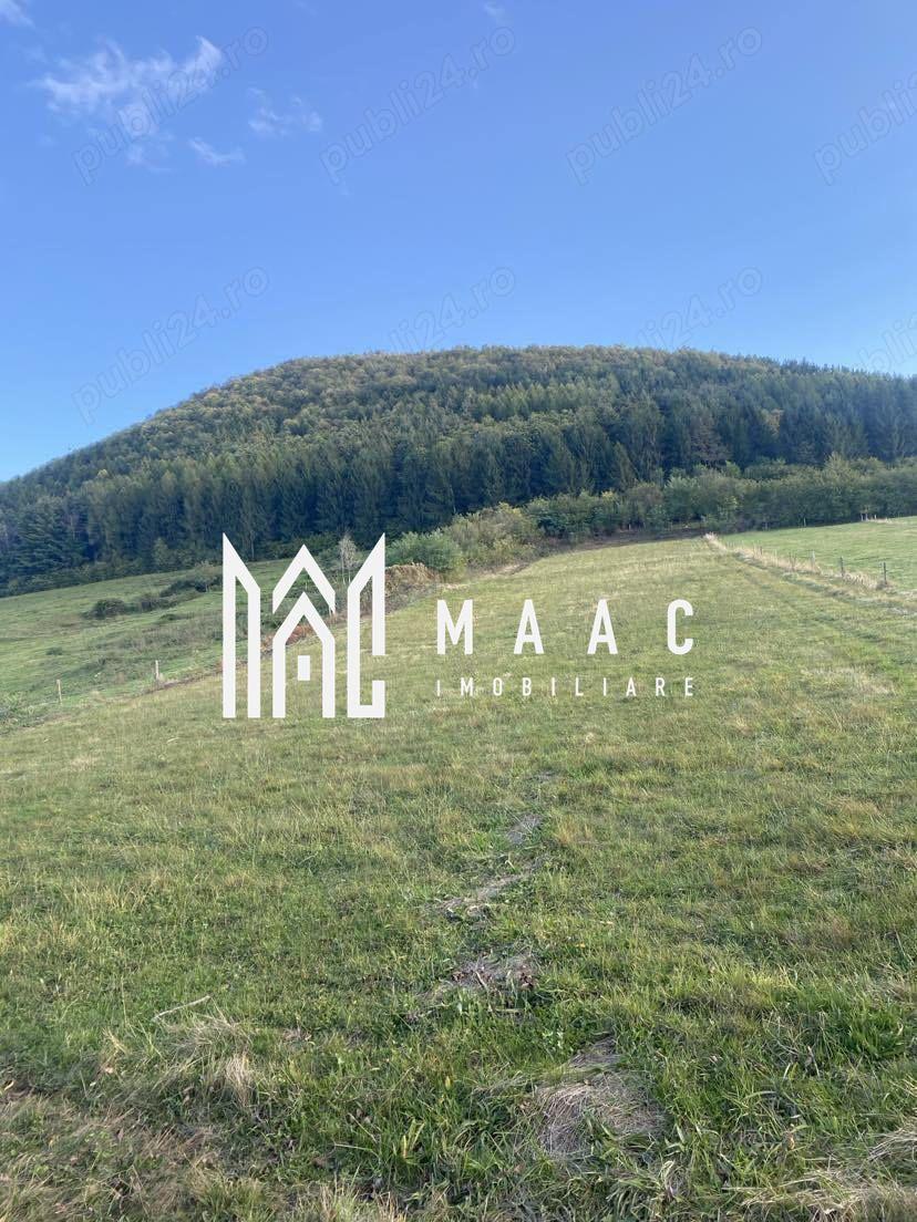 Teren Intravilan I 4129 MP I Gura Raului - 2