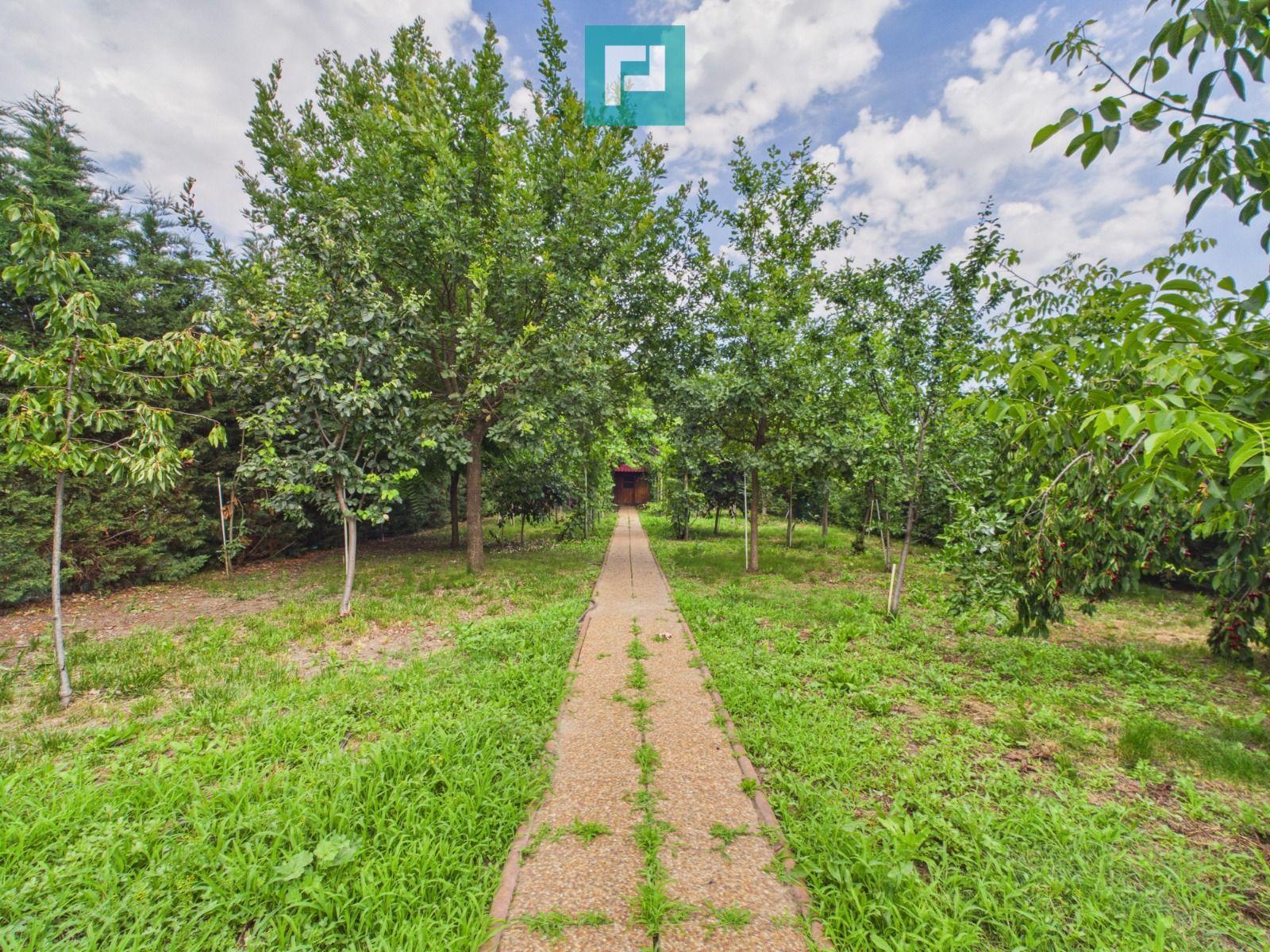 Casă individuală cu iaz, saună, gradină | Săcălaz - 14