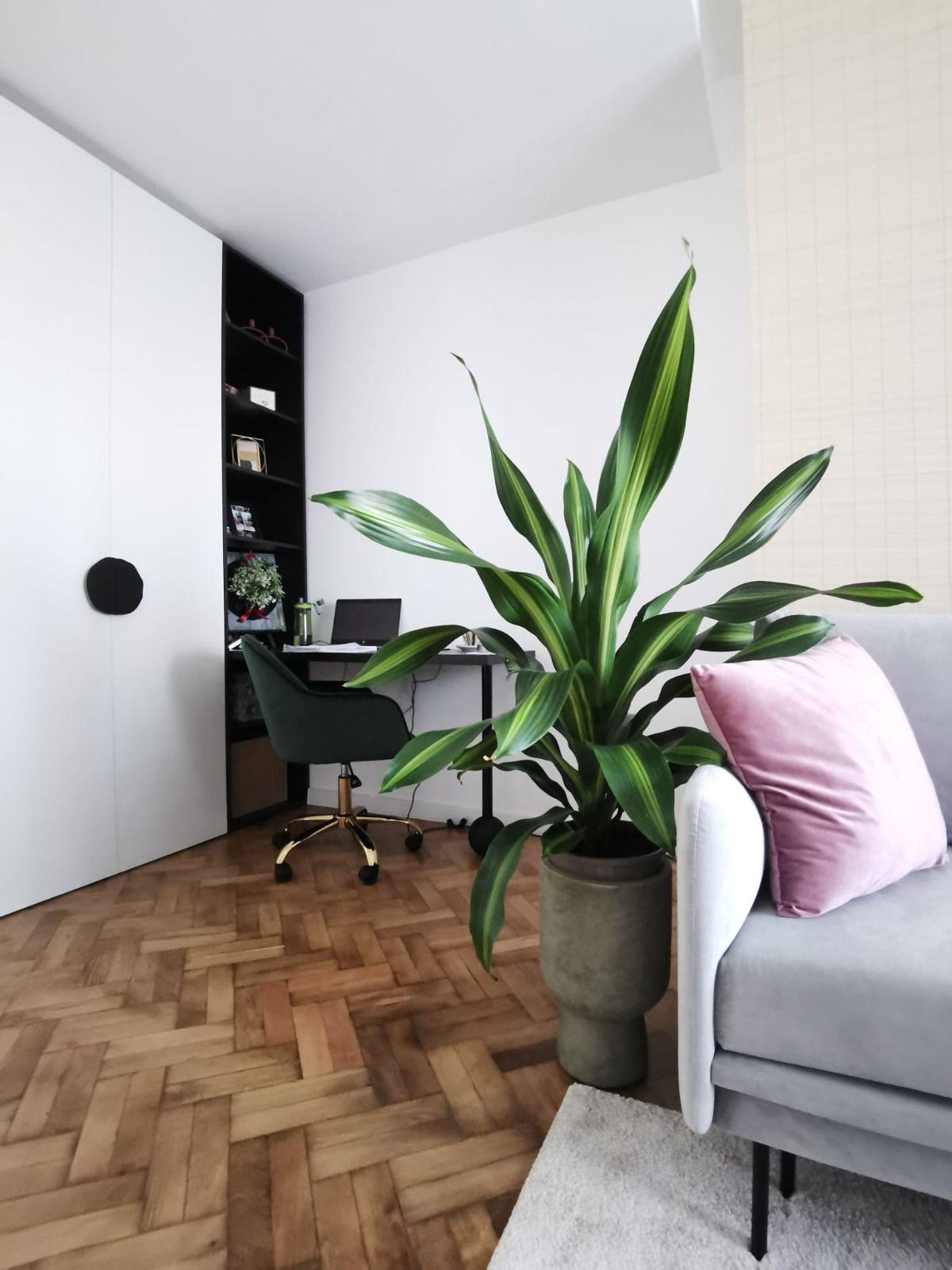 Apartament 2 camere, zona centrala - 8
