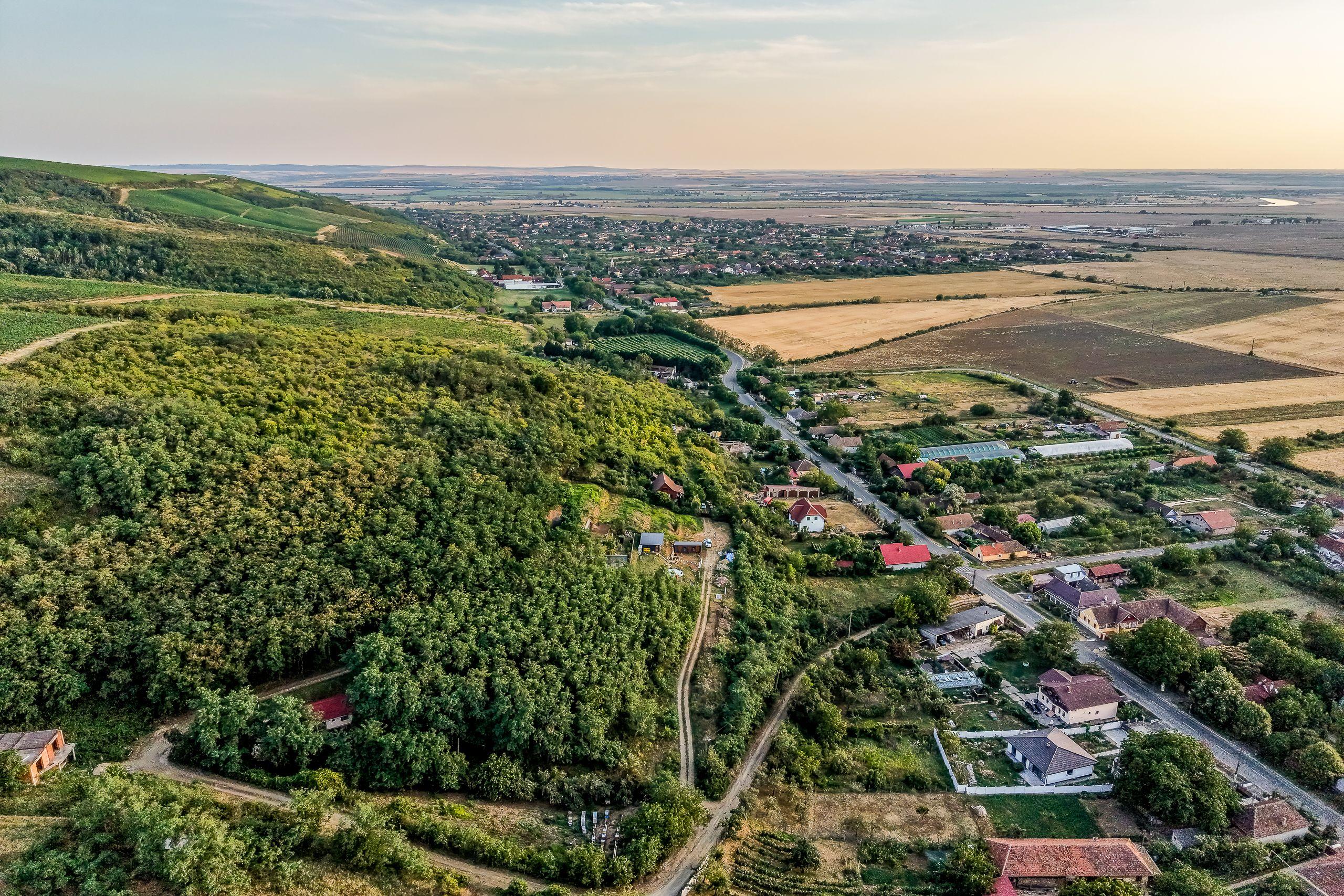 Teren pe deal, 1.150 mp, în Miniș, front 26 m, Drumul Vinului - 10